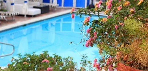 Investing In Swimming Pool Covers - Is It Worth It?