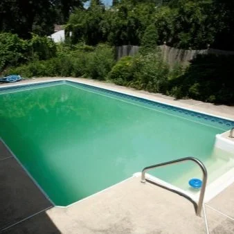 Pool Care: Types of Pool Algae and How to Treat Them