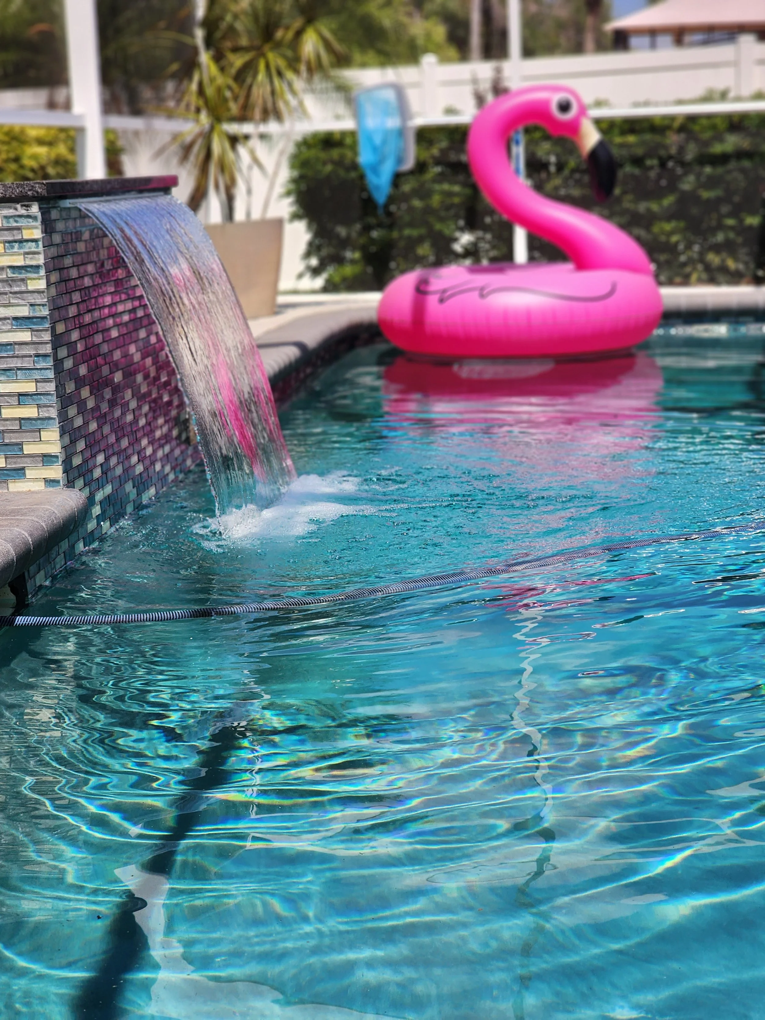 Pool Safety Tips