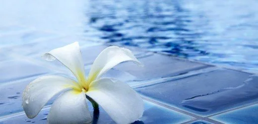 Important Pieces Of Safety Equipment To Consider For Every Pool In Safety Harbor, Florida