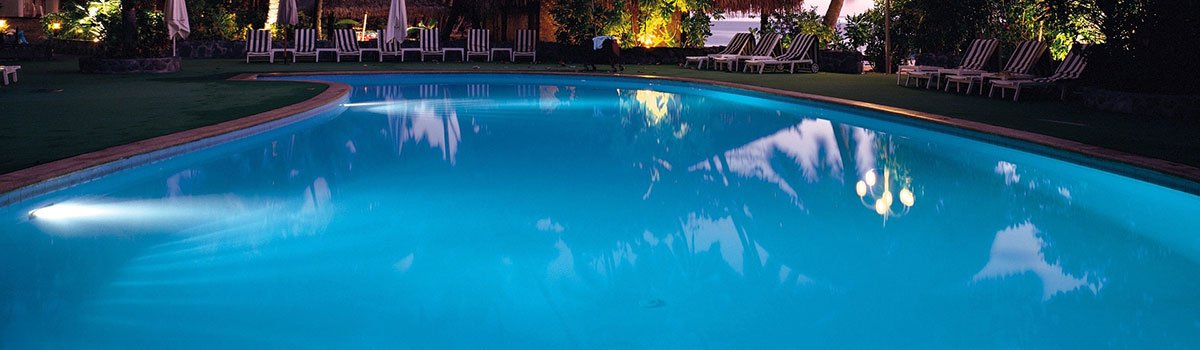 Professional Pool Care Basics