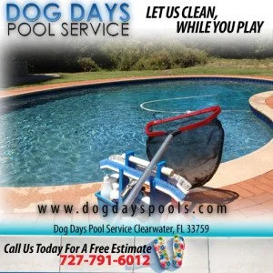 Dog Days Pool Service – Swimming Pool Questions From Safety Harbor And Clearwater Residents
