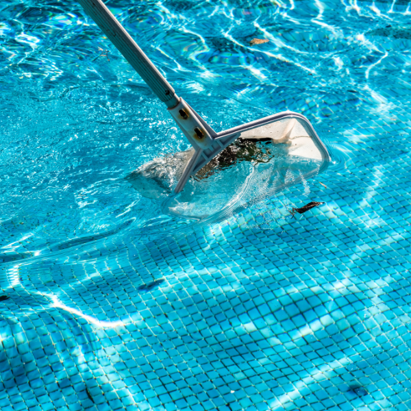 Top Reasons to Hire a Professional for Pool Maintenance