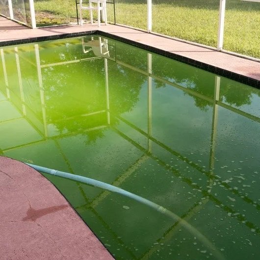 When The Pool Gets Cloudy, It’s Just Throwing Shade