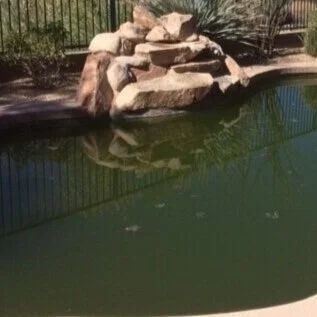 When to Call the Pool Guy