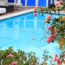 Why Pool Owners Hire a Pool Cleaning Professional