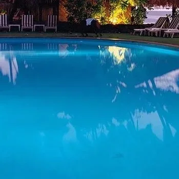 Green Water Doesn’t Mean It’s Eco-Friendly