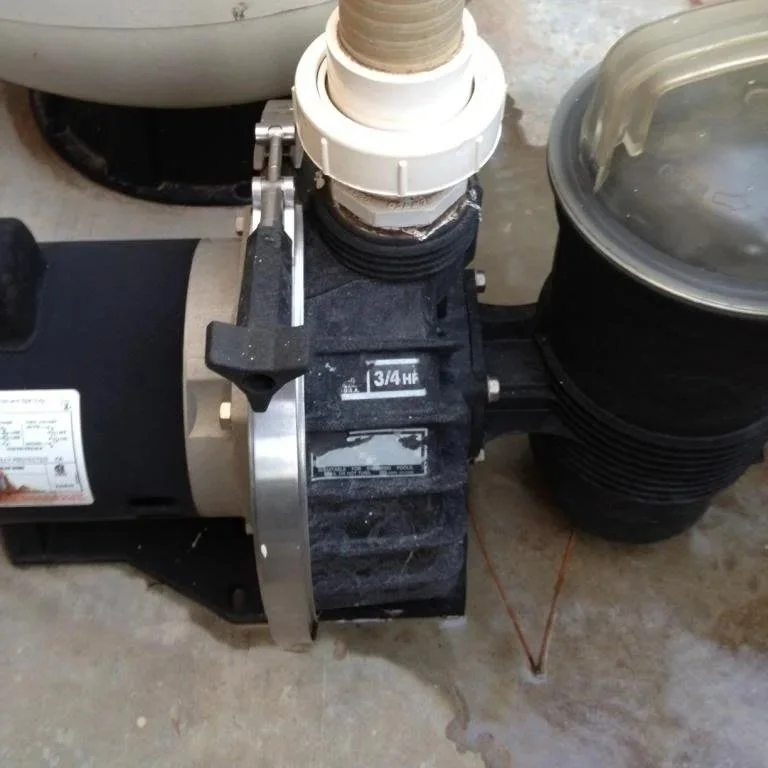 Is a Variable Speed Pool Pump Worth the Extra Cost?