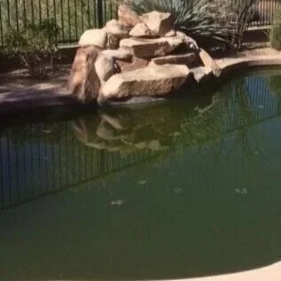 How to Shock a Neglected Pool Back to Life Without Damaging It