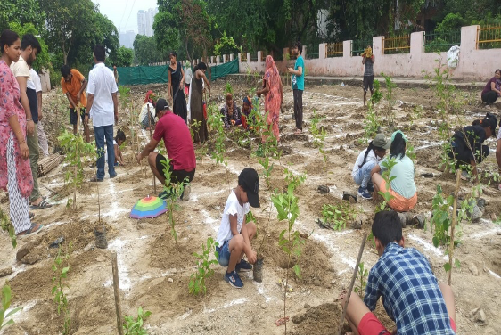 People planting young trees on a patch of soil in a community garden.