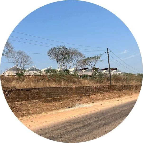 P1.jpg