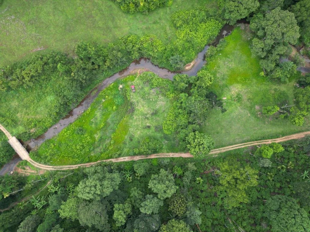 An aerial view of a lush green landscape with a meandering stream, a dirt road, and dense trees.