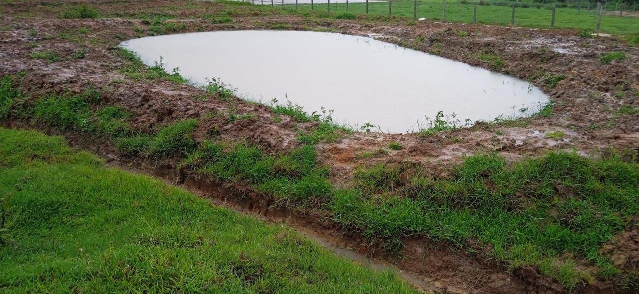 A small, irregularly shaped pond in a fenced grassy area, with muddy edges and surrounding green grass.