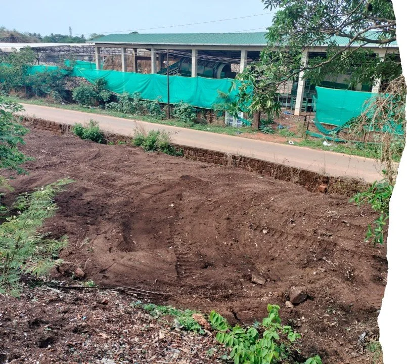 p2.jpg