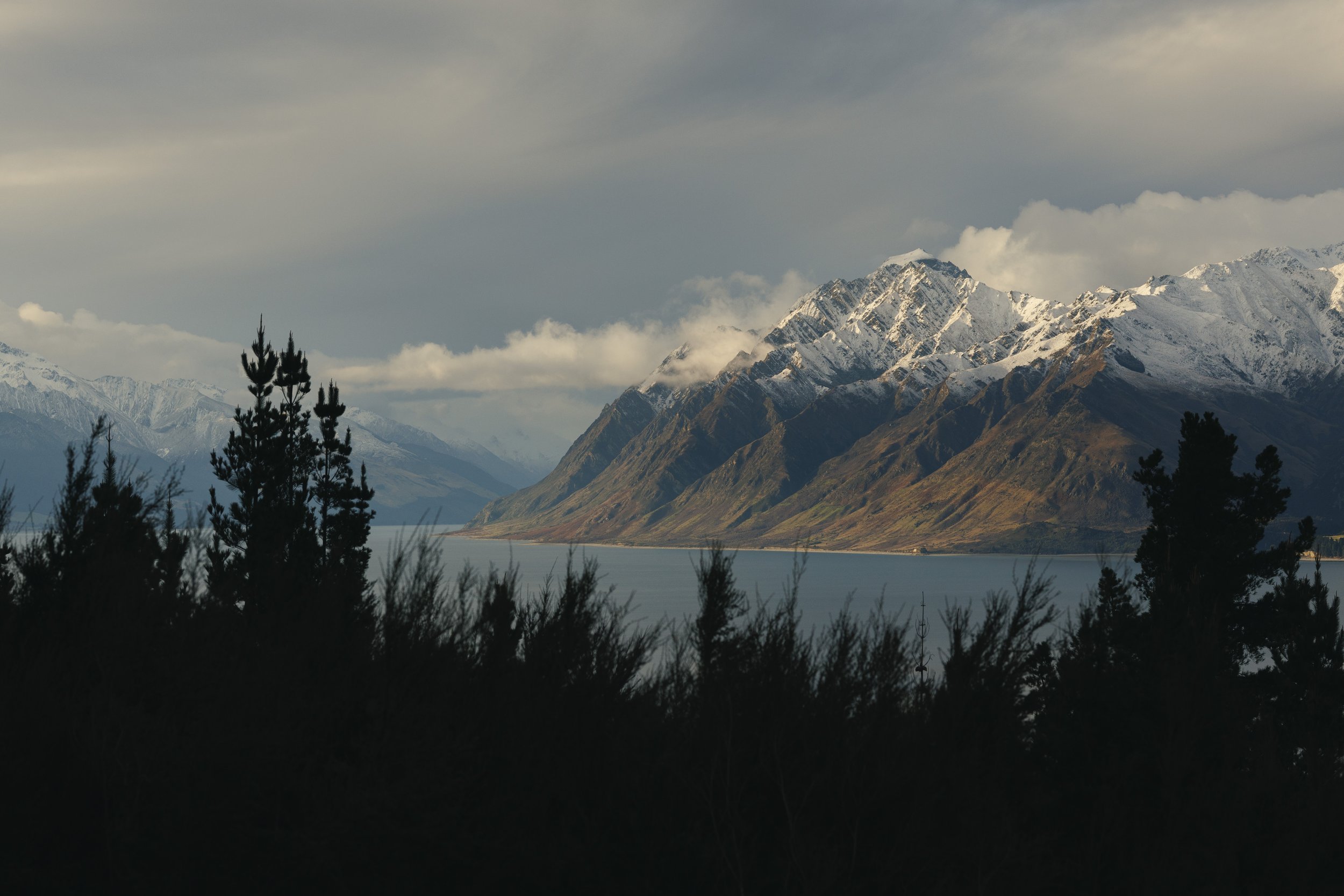 NZ7289.jpg