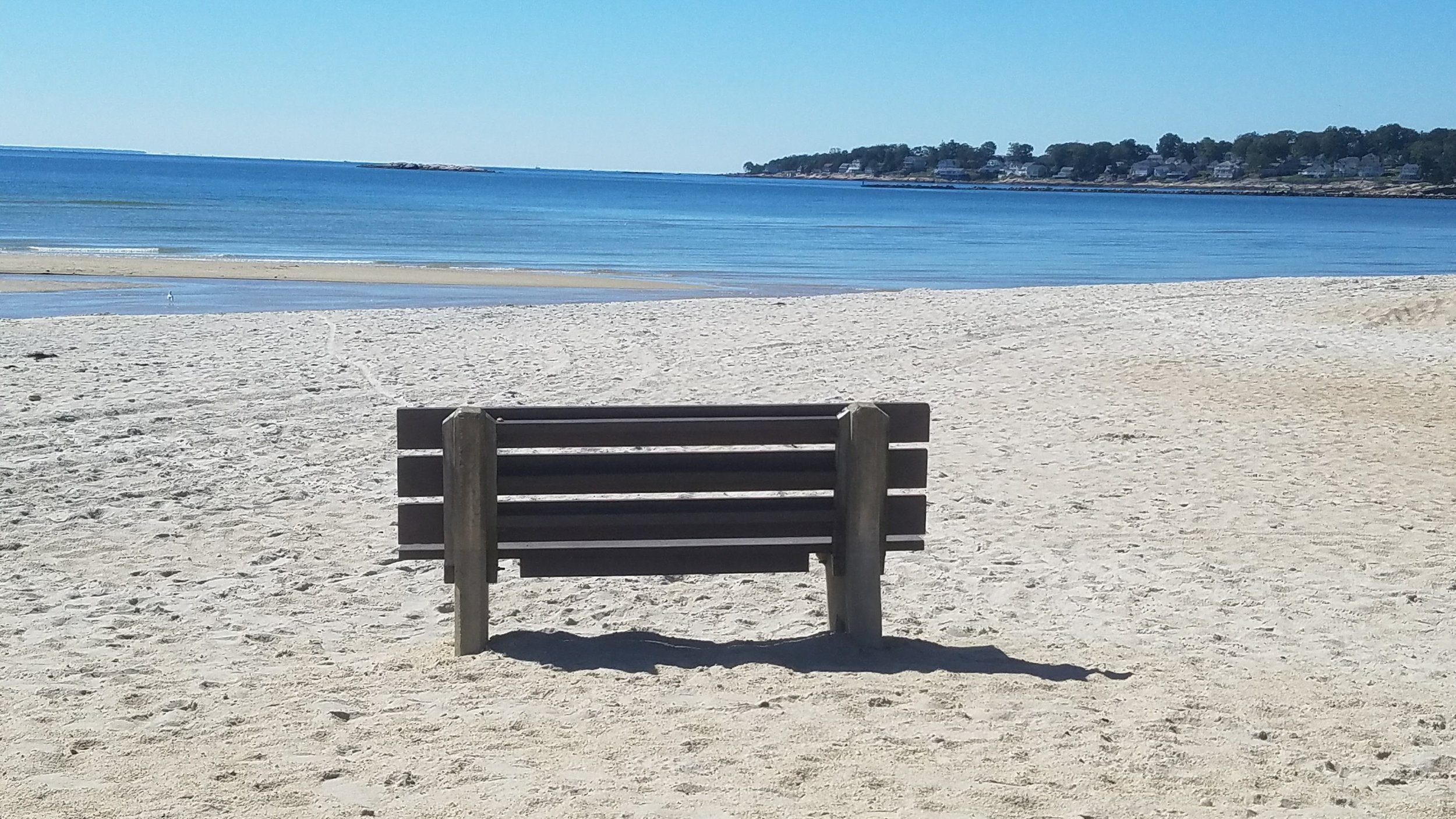 Sitting at the beach. . .