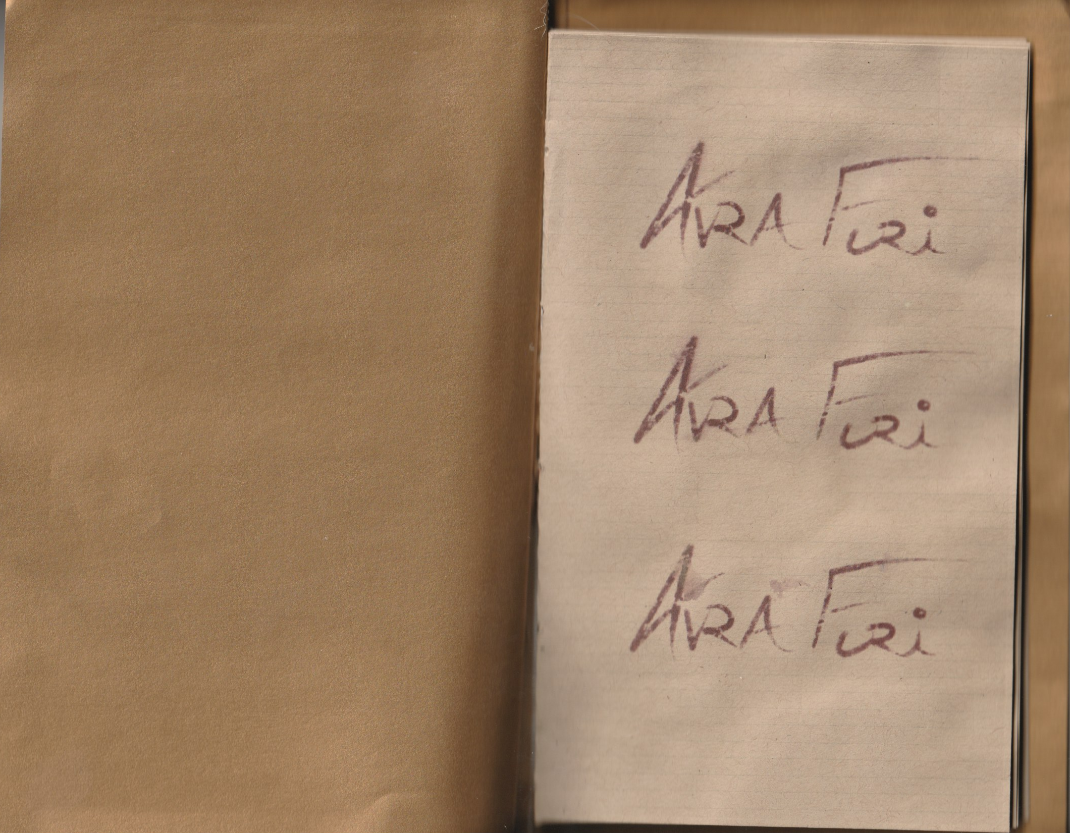 The Narrative Amalgation of Avra Furi,
5.5x8.5,
Hand-Sewn Binding,
Core Studio 3-Fall 2024