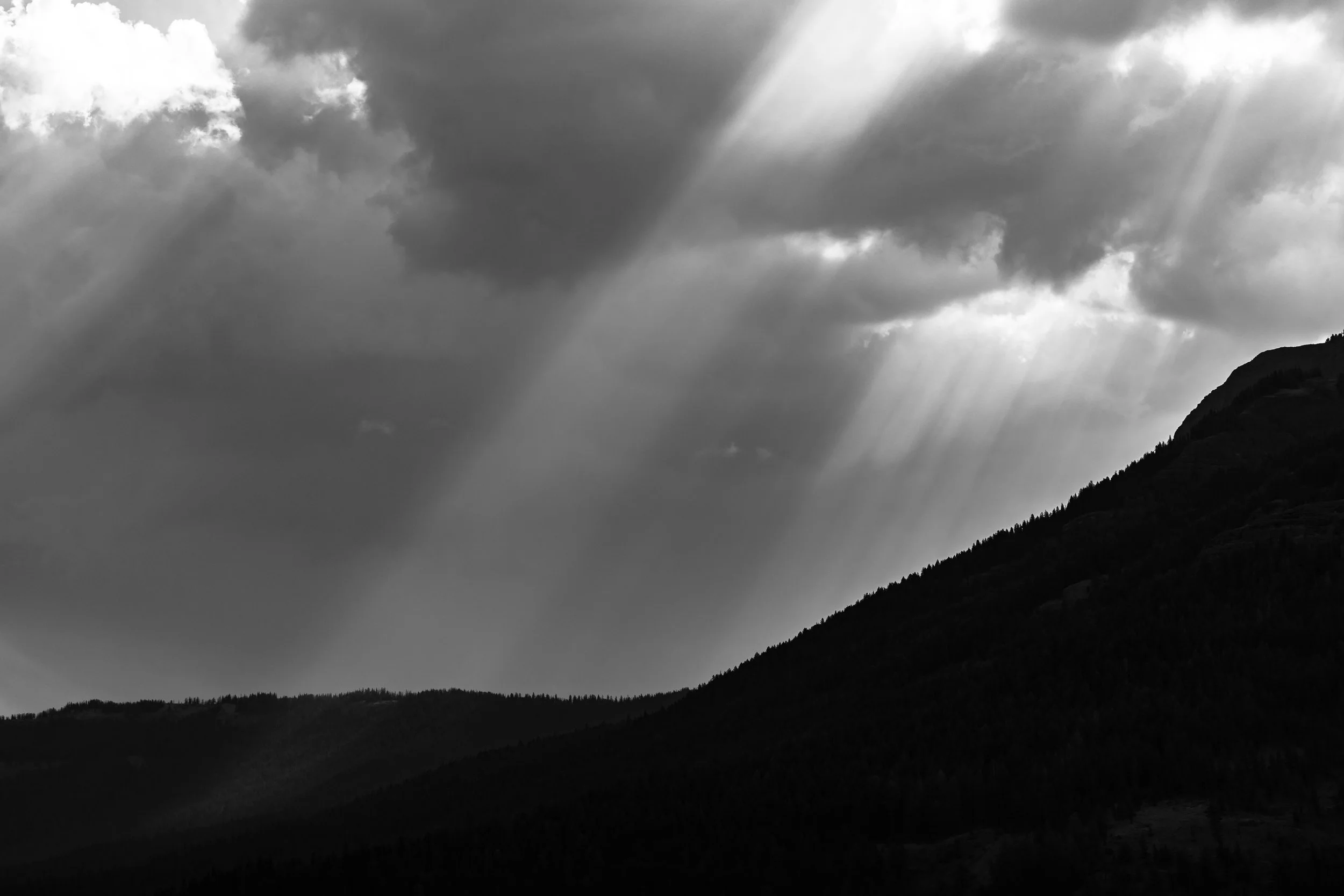 How much of your story is yours?