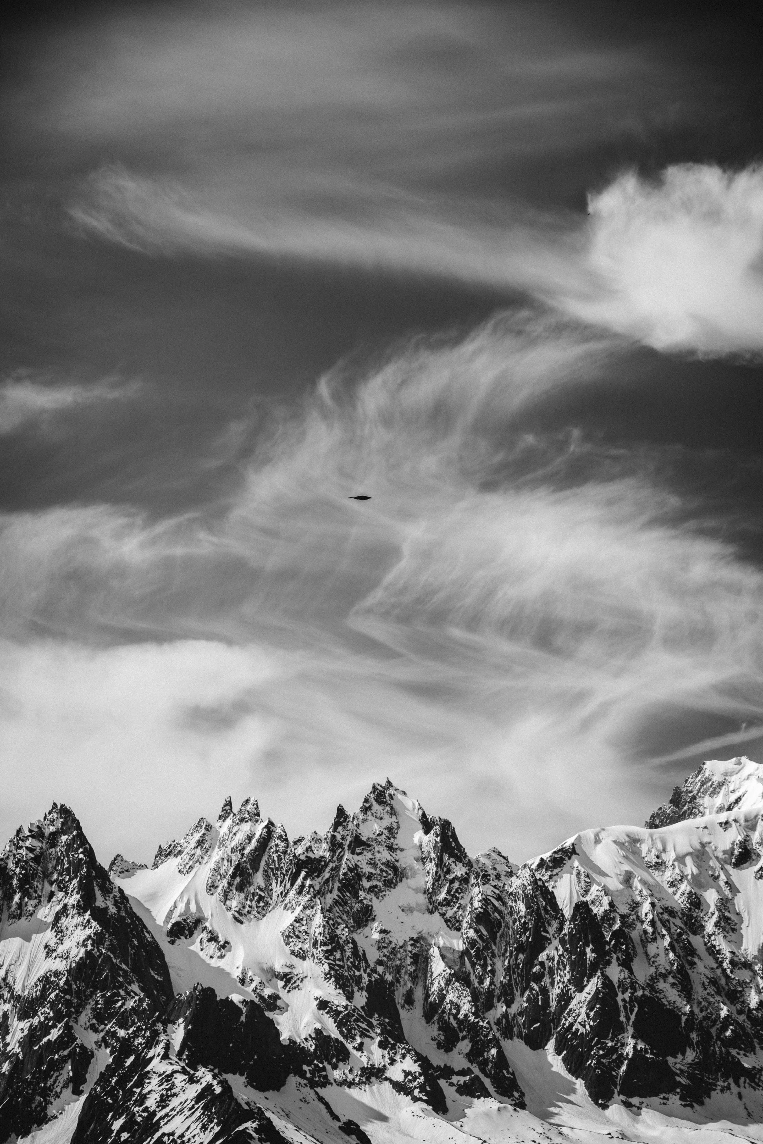 I met my spirit animal in the alps.