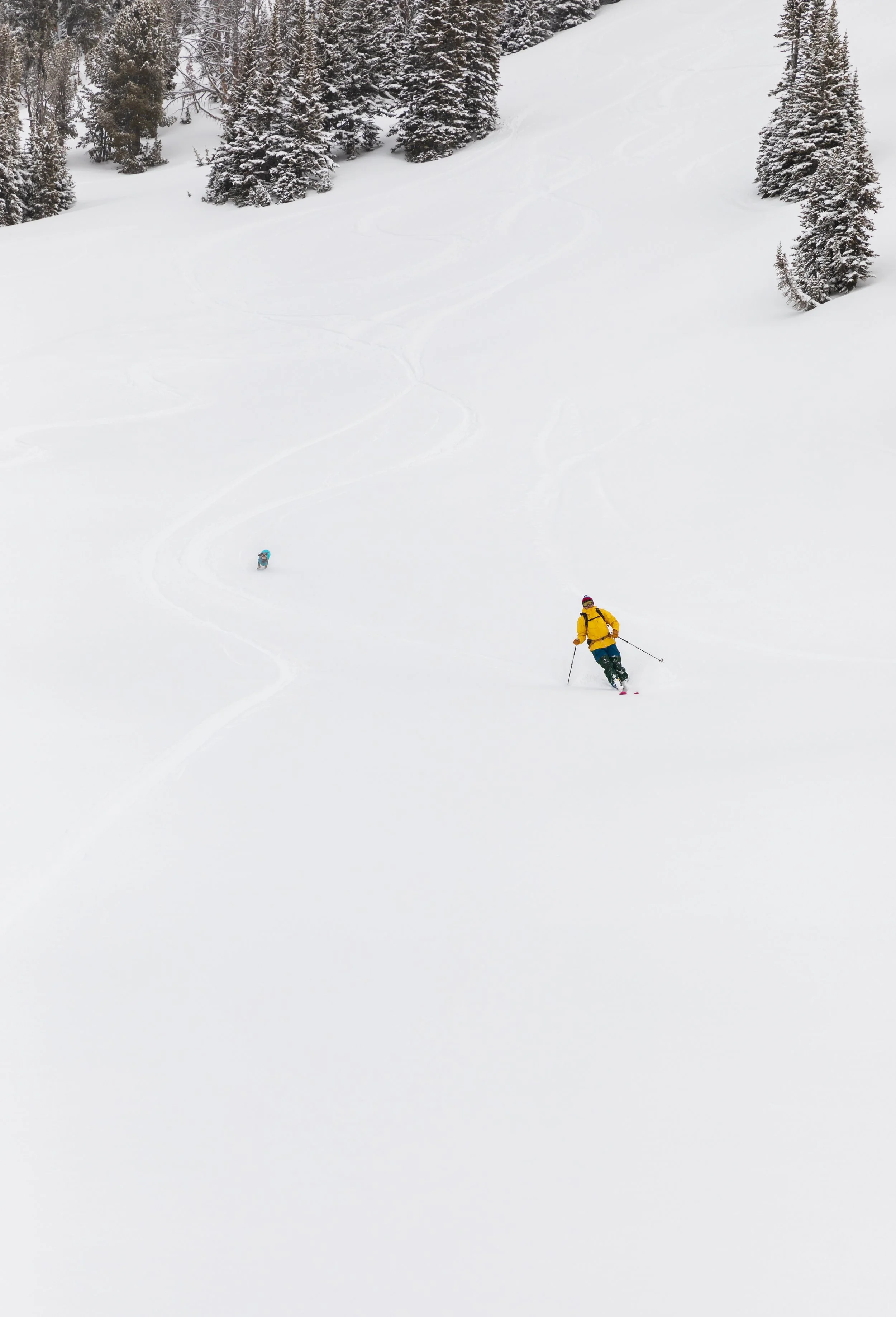 Water’s for fightin’