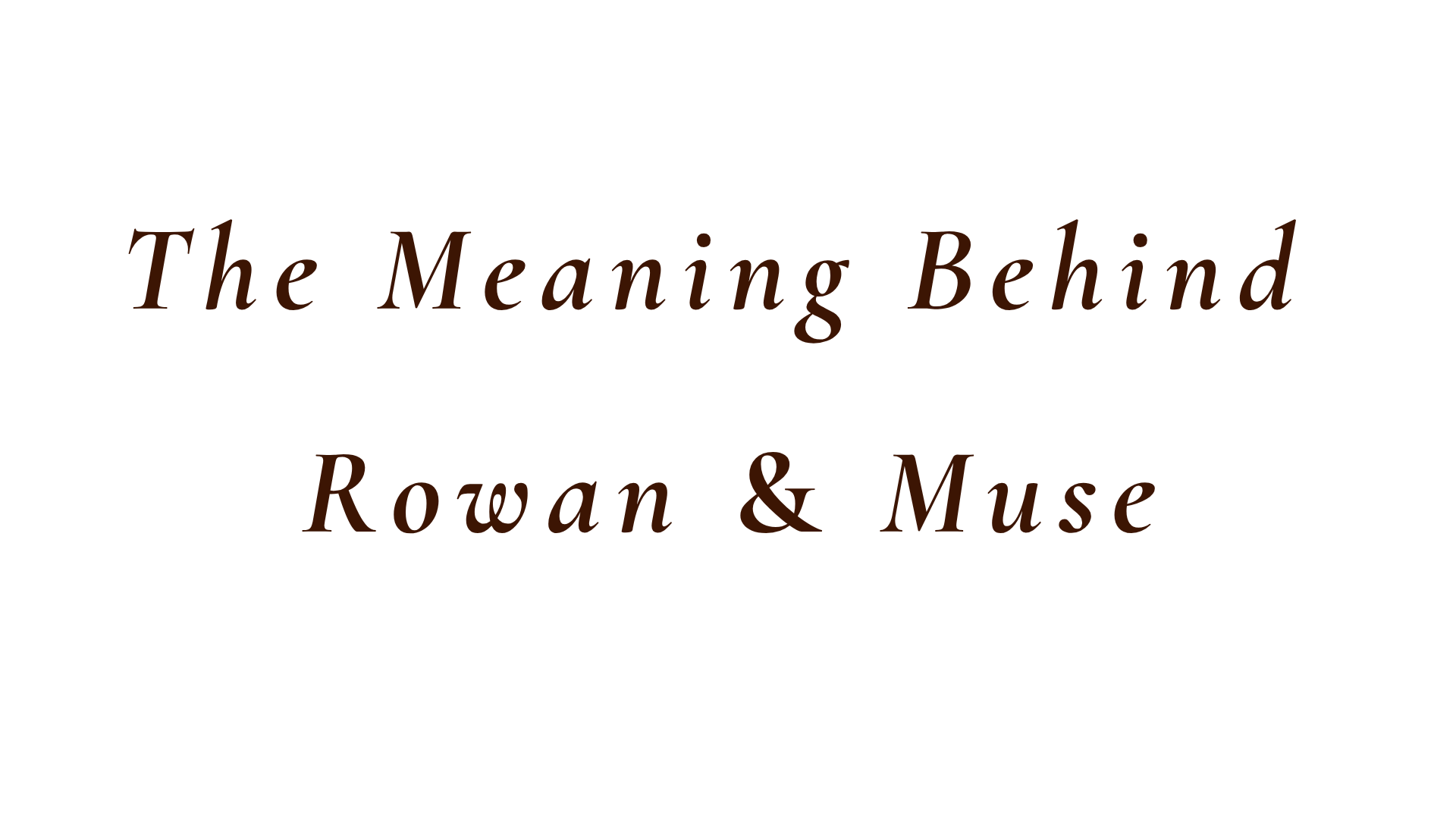 Cover of a book titled 'The Meaning Behind Rowan & Muse' with black background and brown text.