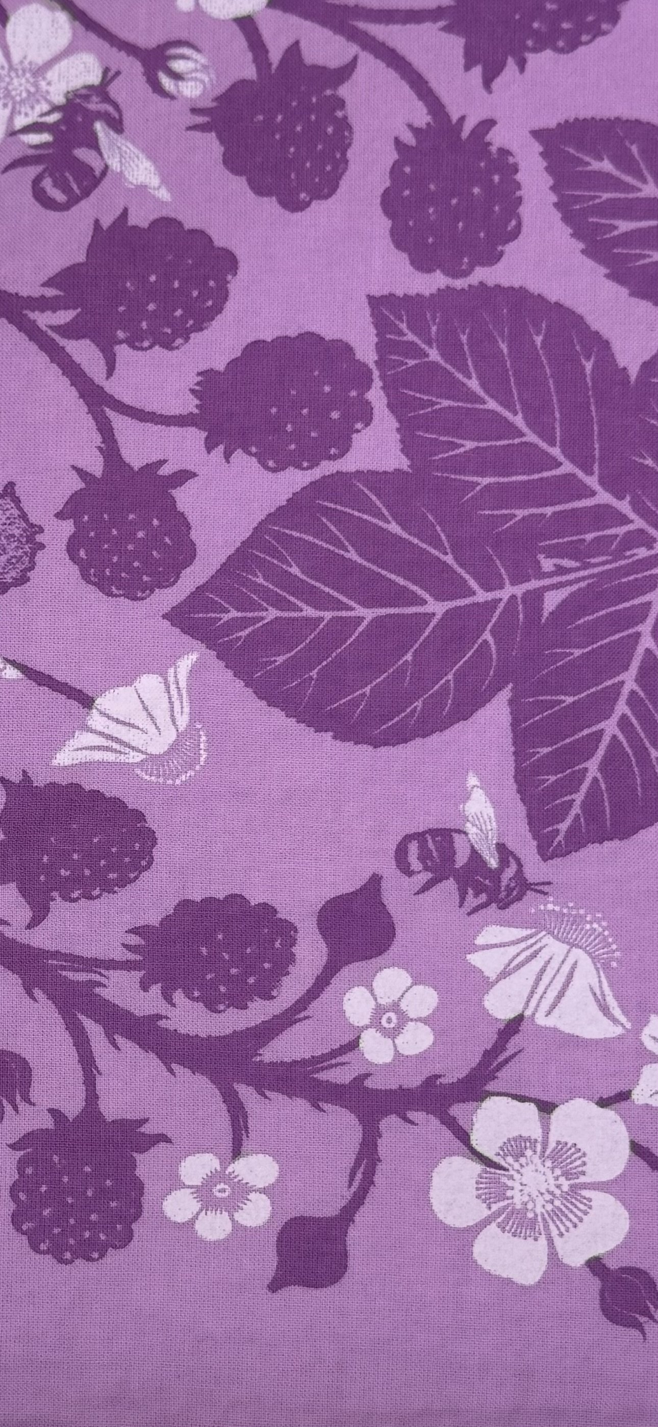 Blackberry bumblebee bandana closeup bees blossoms .jpeg