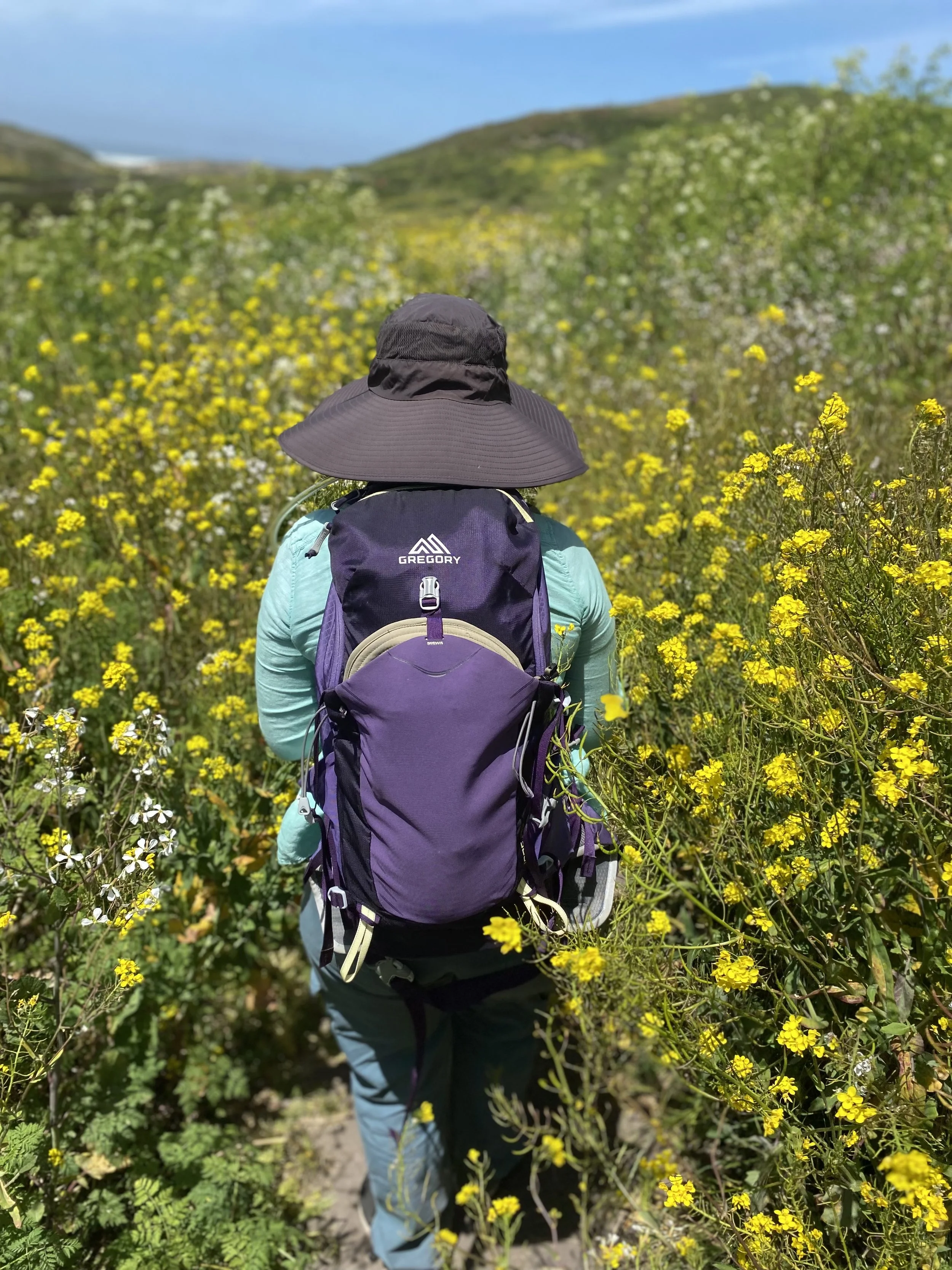 Person with a purple backpack and wide-brim hat hiking through a field of yellow wildflowers under a blue sky.