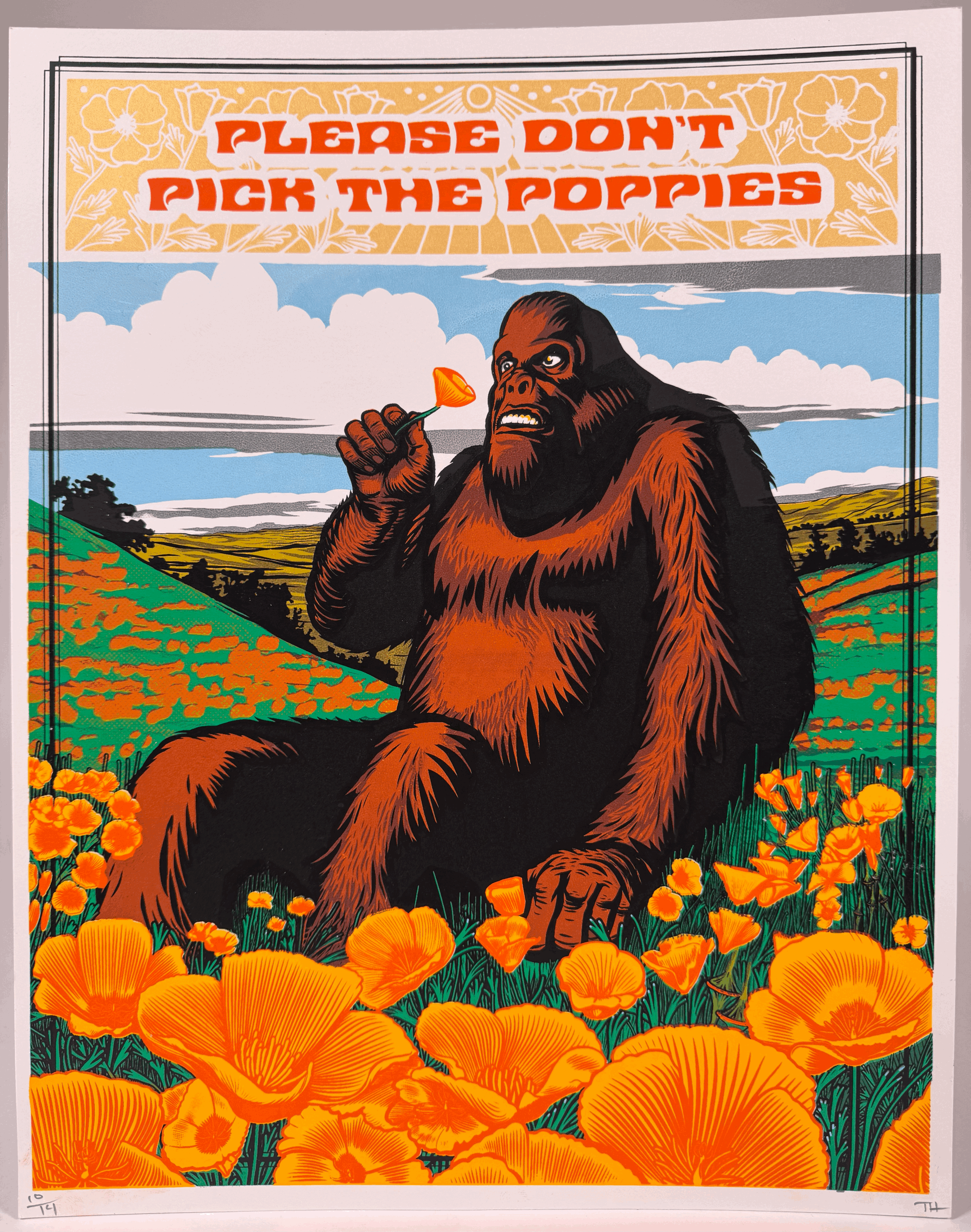 Please Don't Pick The Poppies - limited edition print