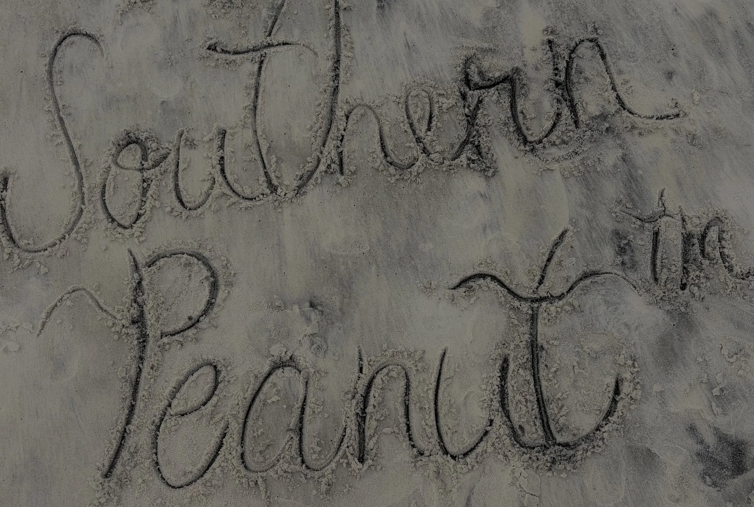 Hey Peanut