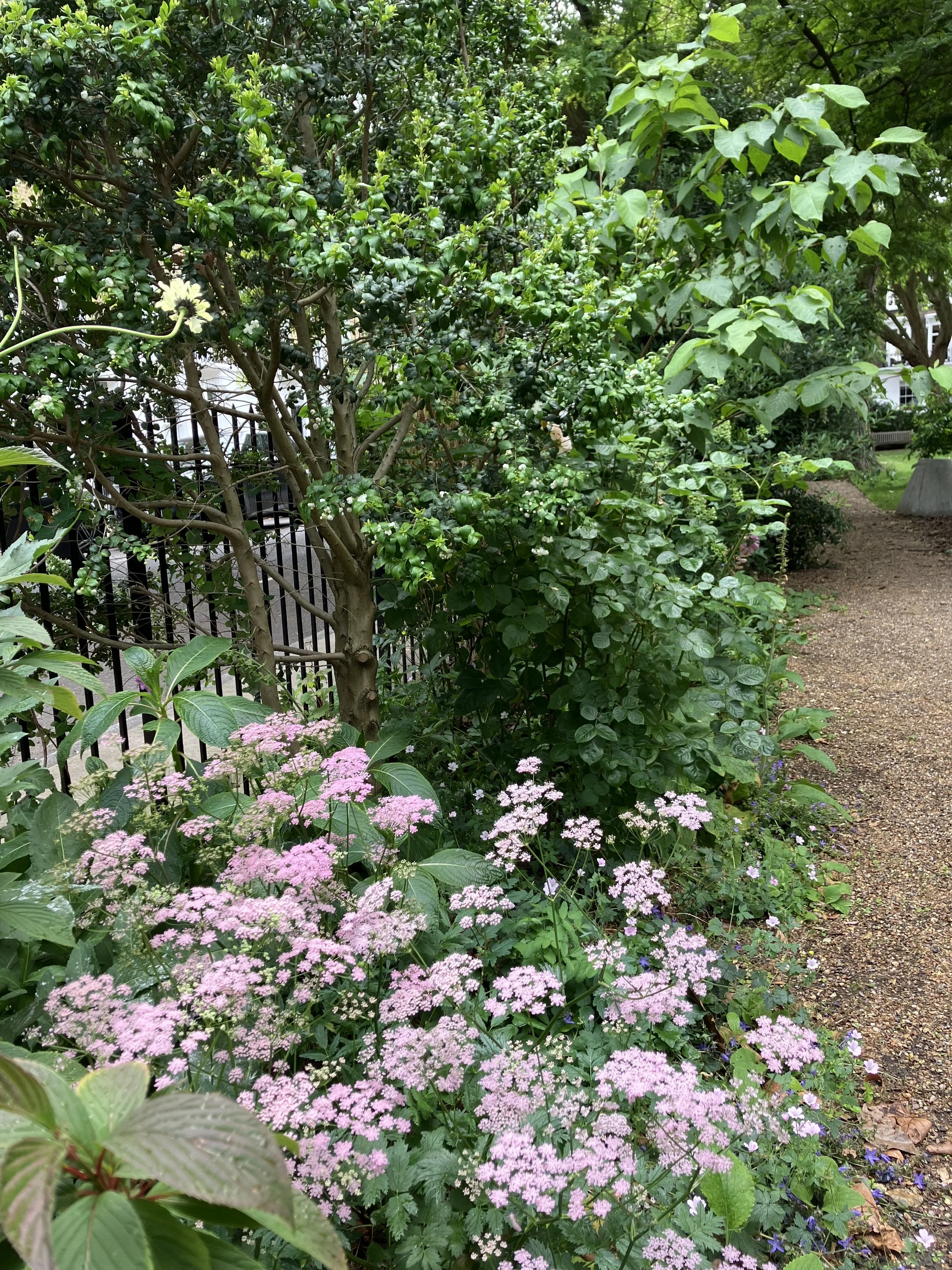 IMG_0857.jpeg