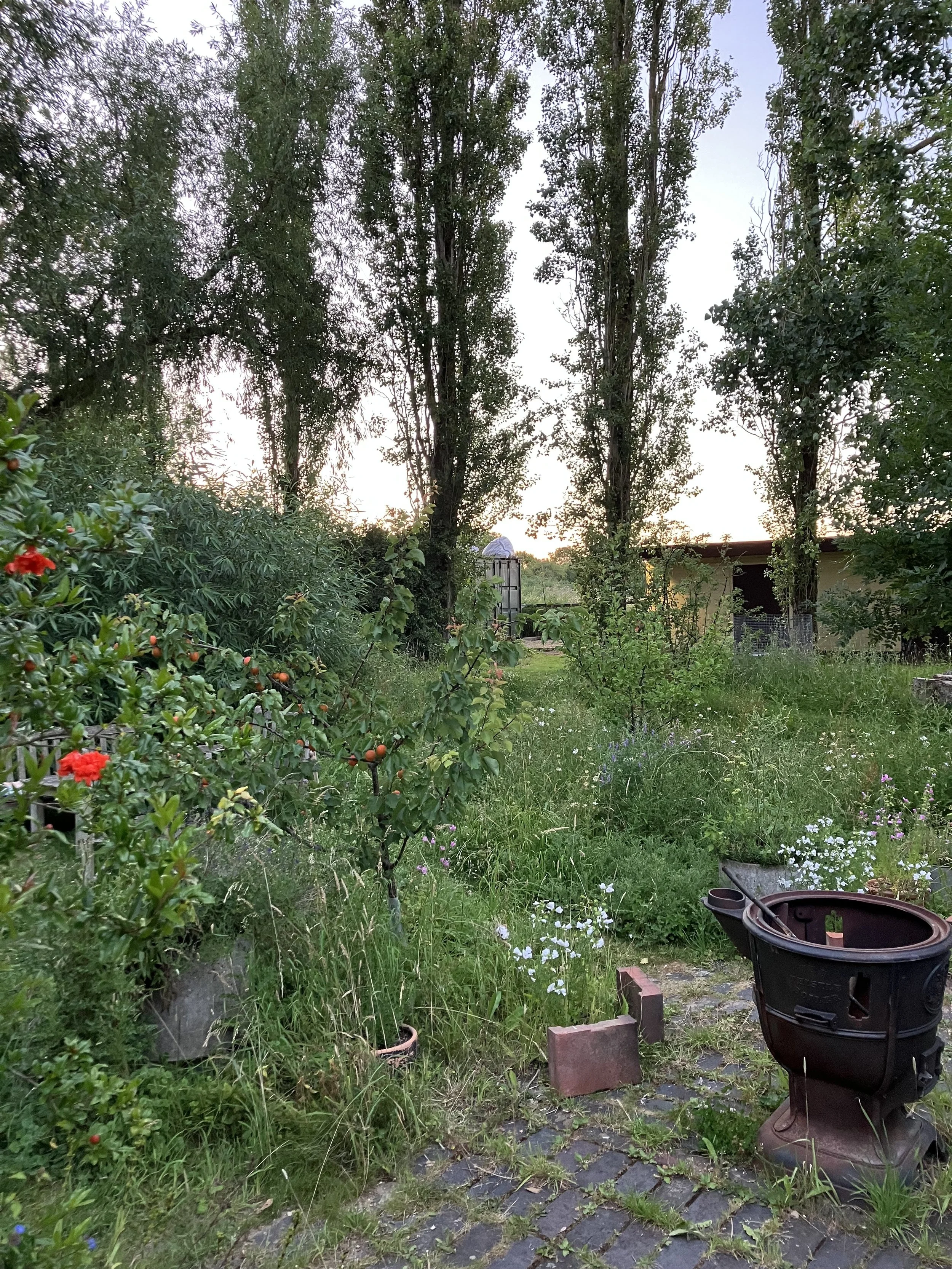 IMG_1047.jpeg
