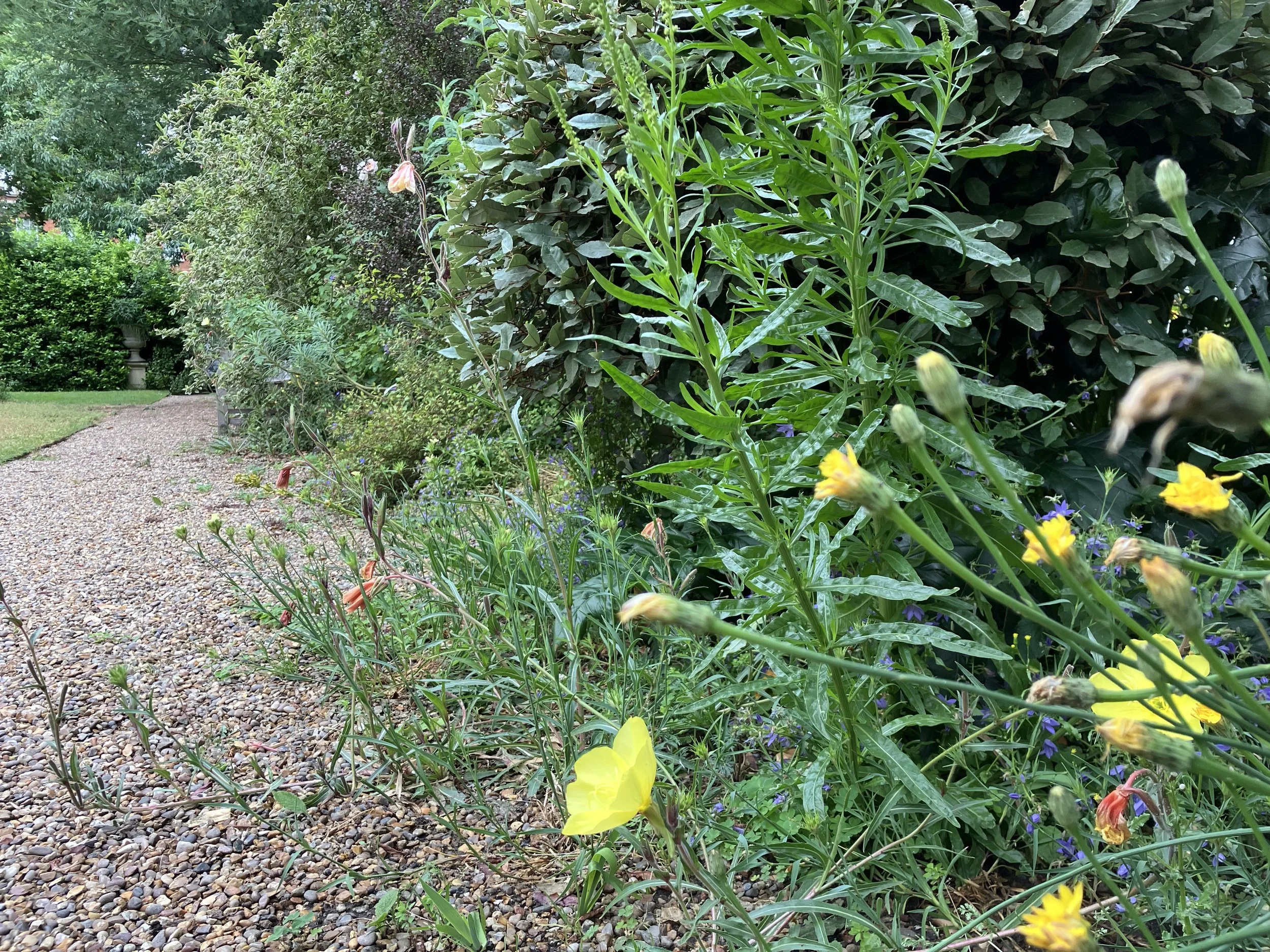 IMG_0724.jpeg