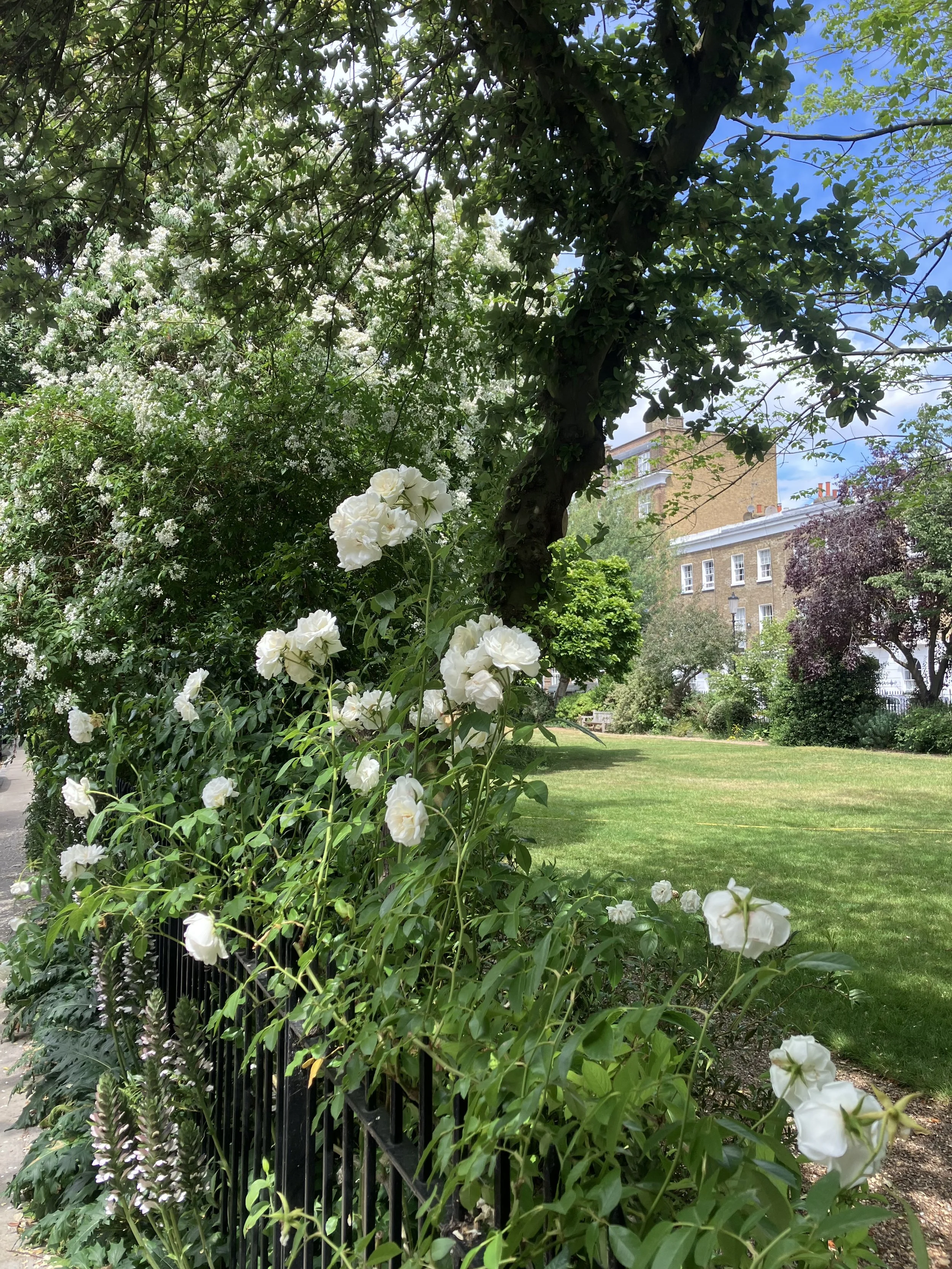 IMG_0688.jpeg