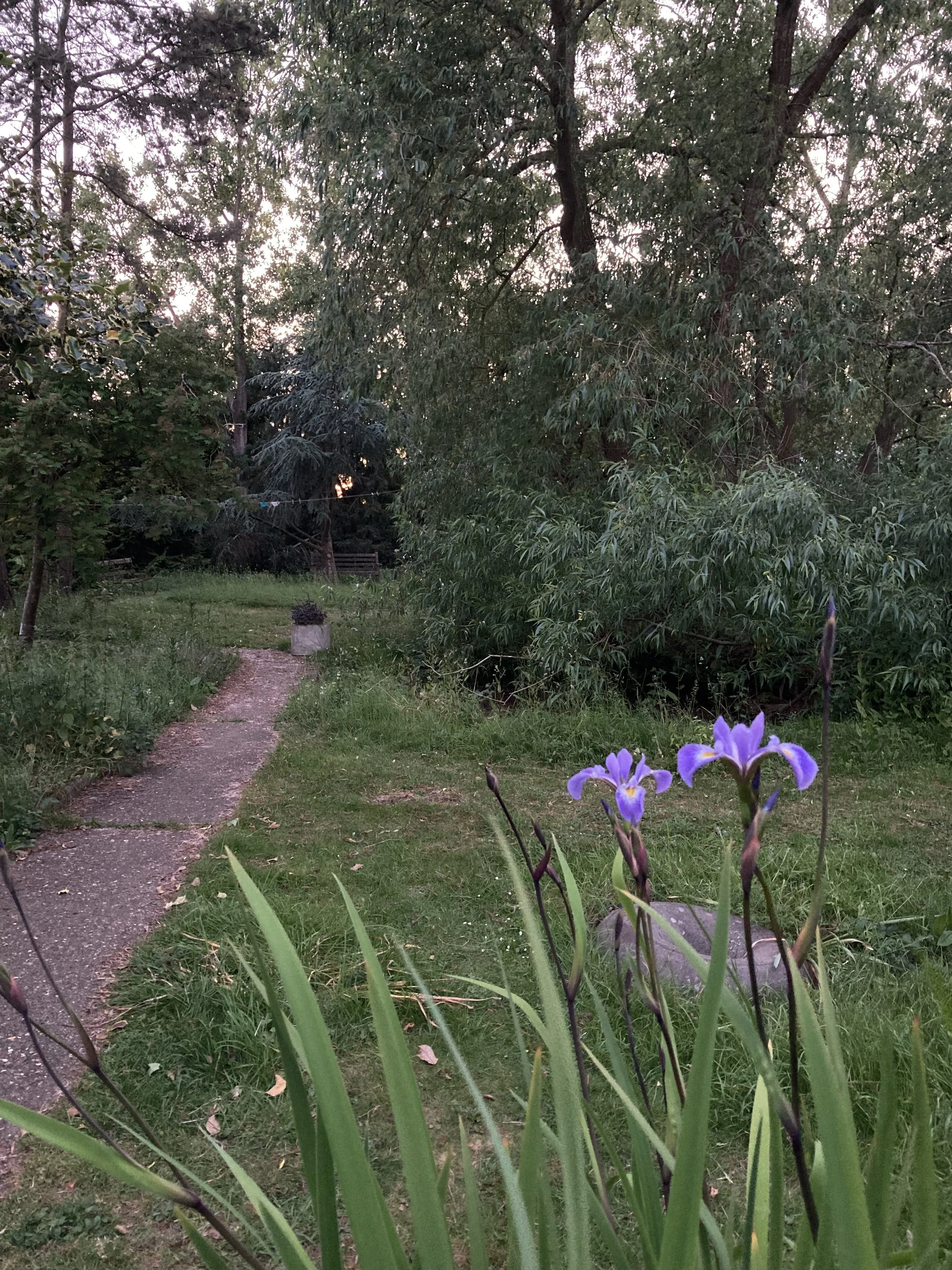 IMG_3128.jpeg