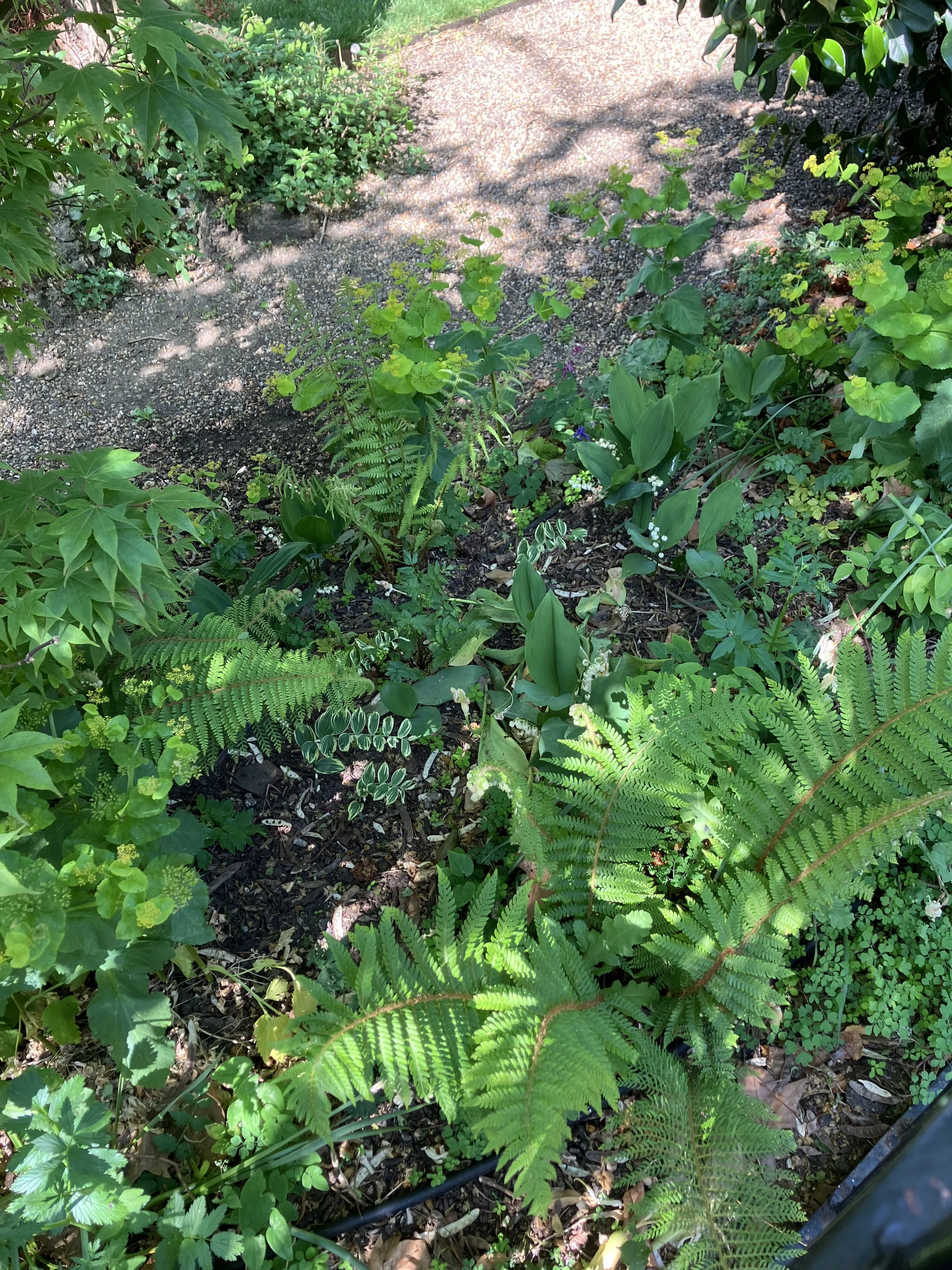 IMG_0340.jpeg