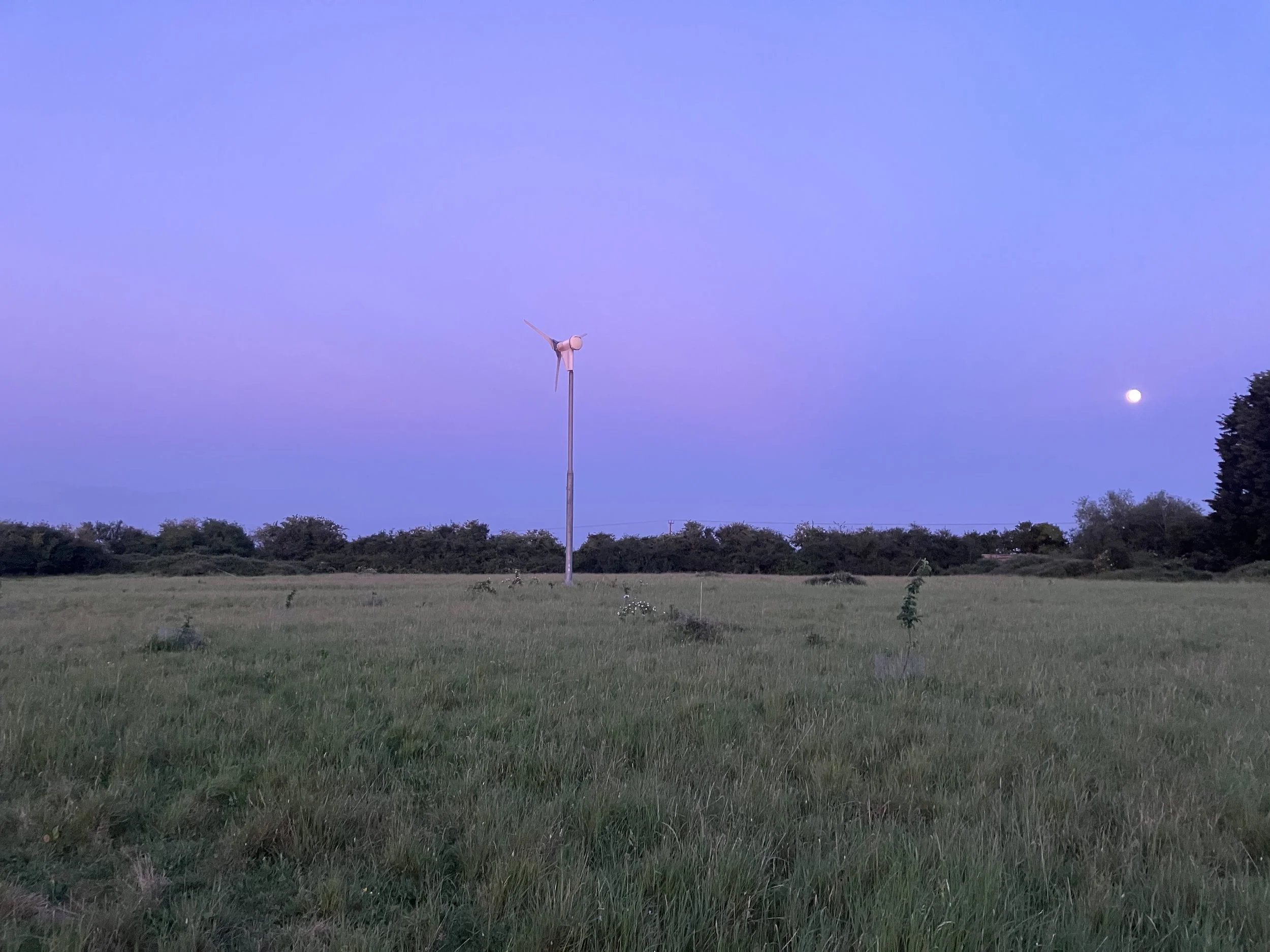 IMG_0674.jpeg