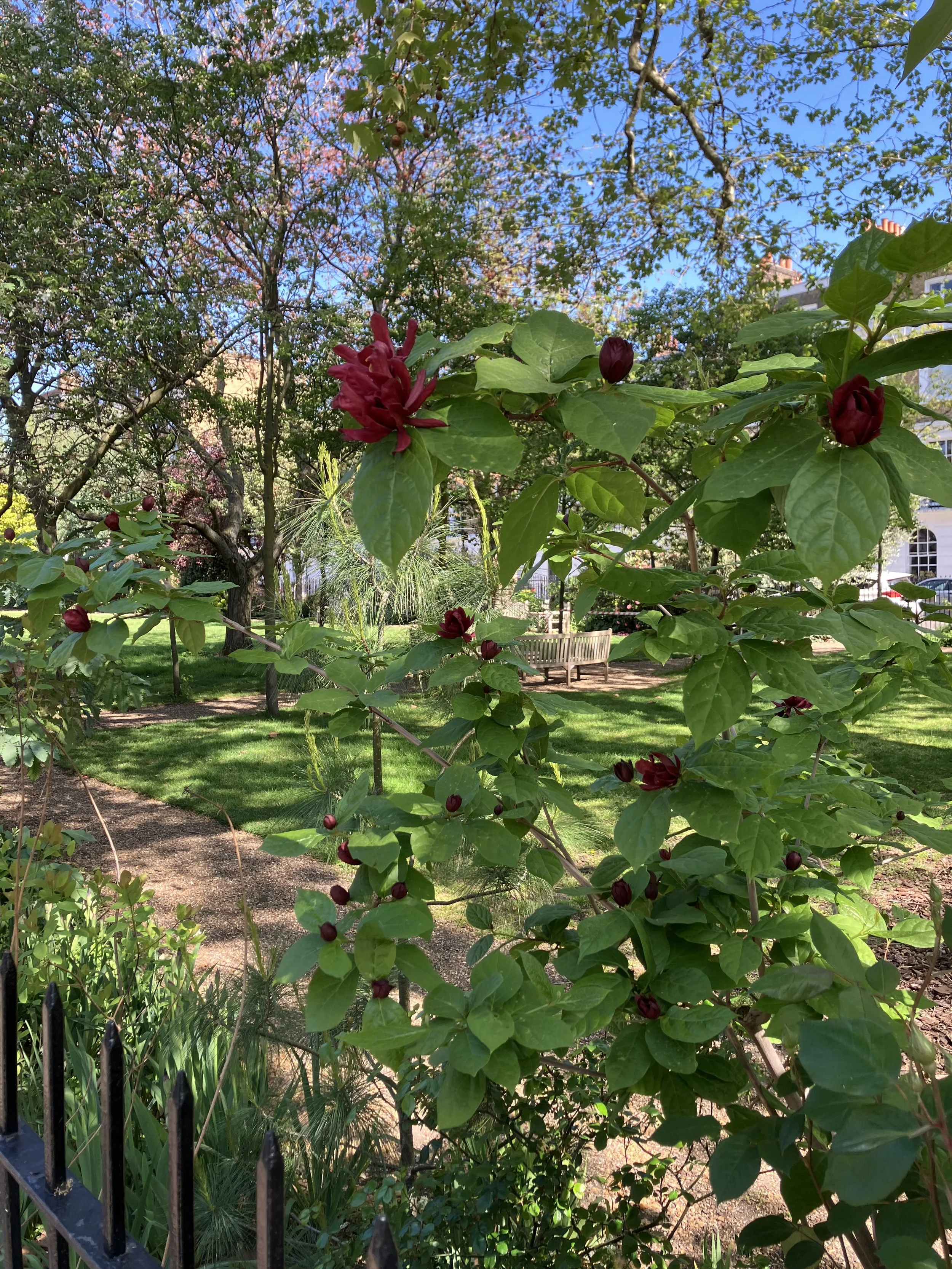 IMG_0294.jpeg