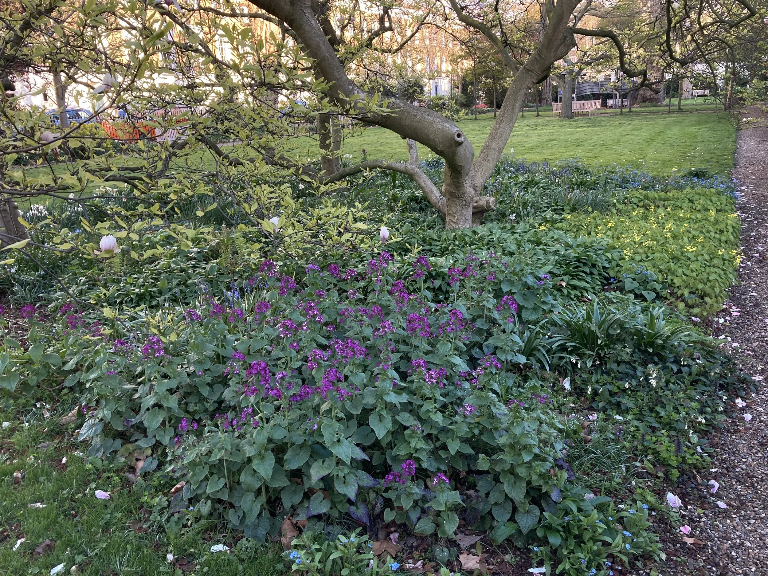 IMG_0305.jpeg