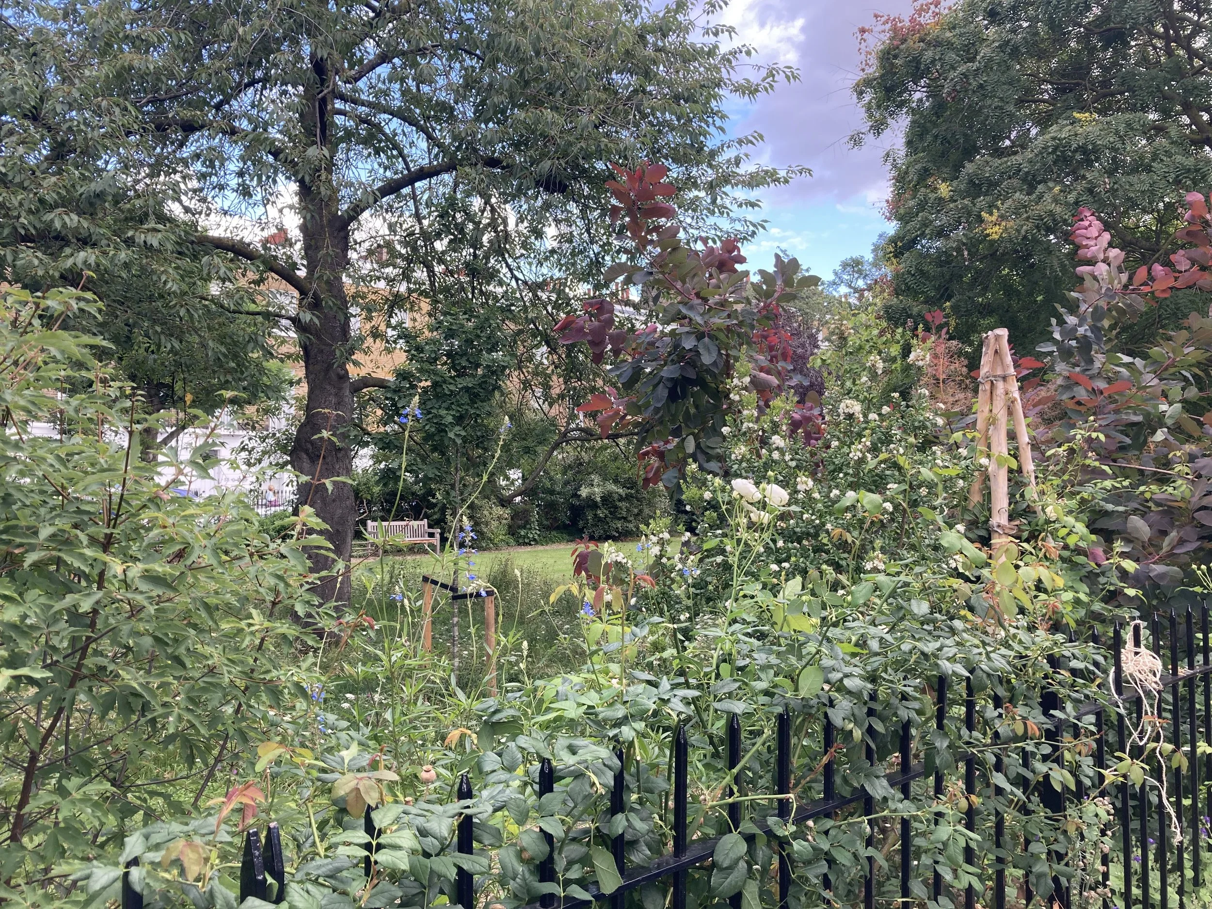 IMG_3958.jpeg