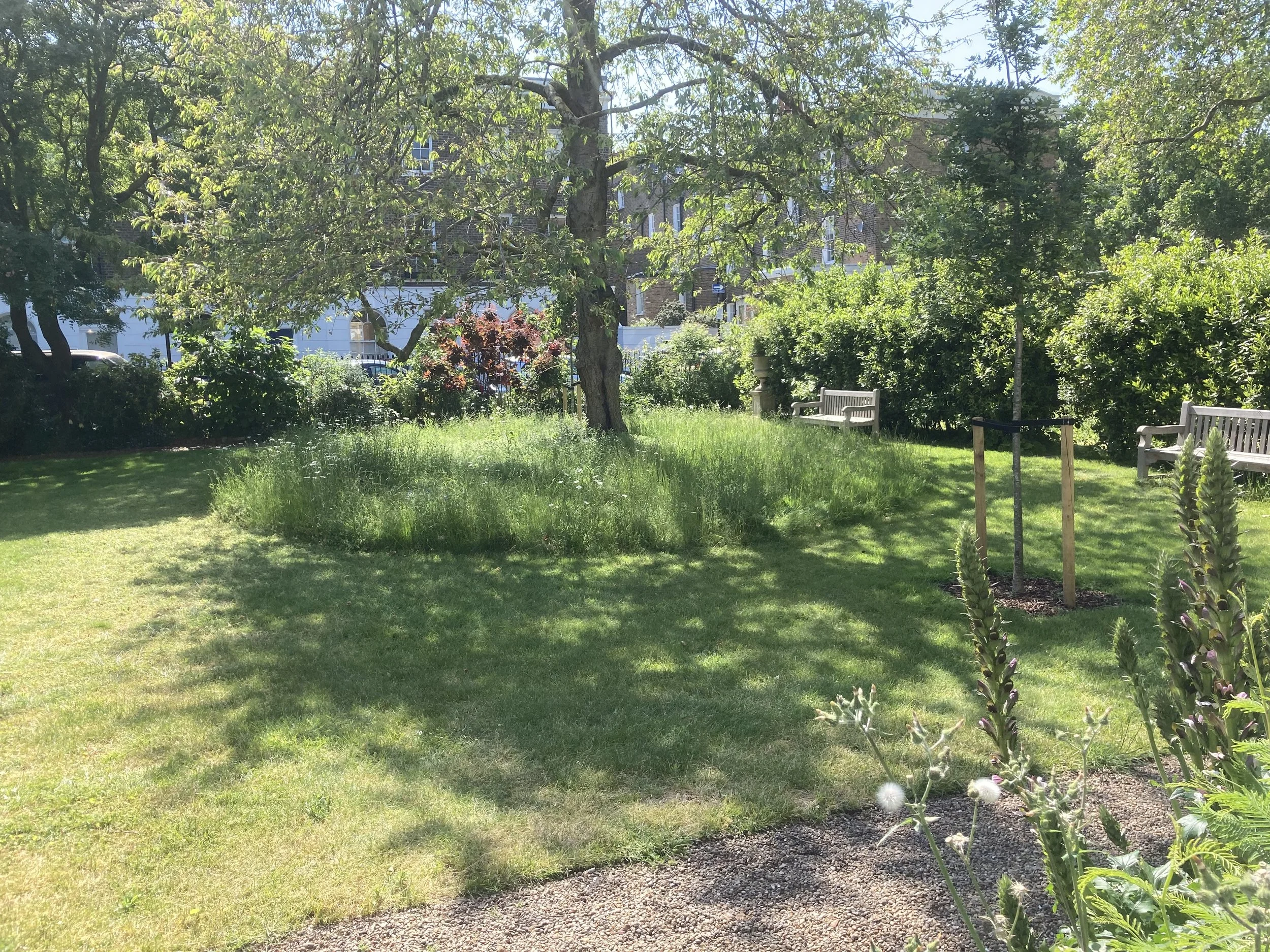 IMG_2926.jpeg
