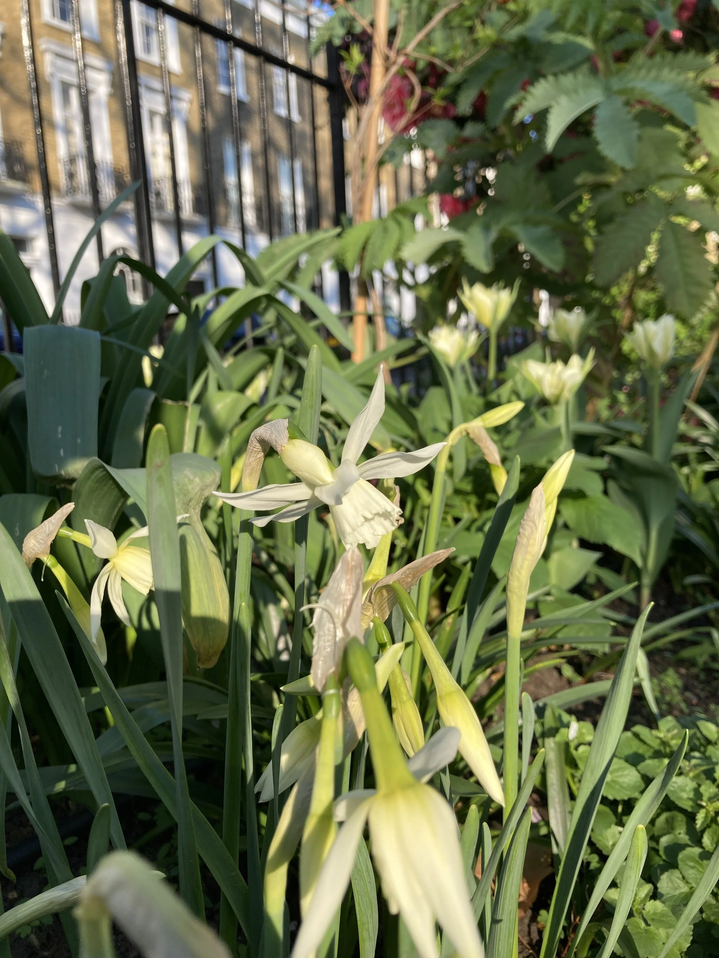 IMG_9702.jpeg