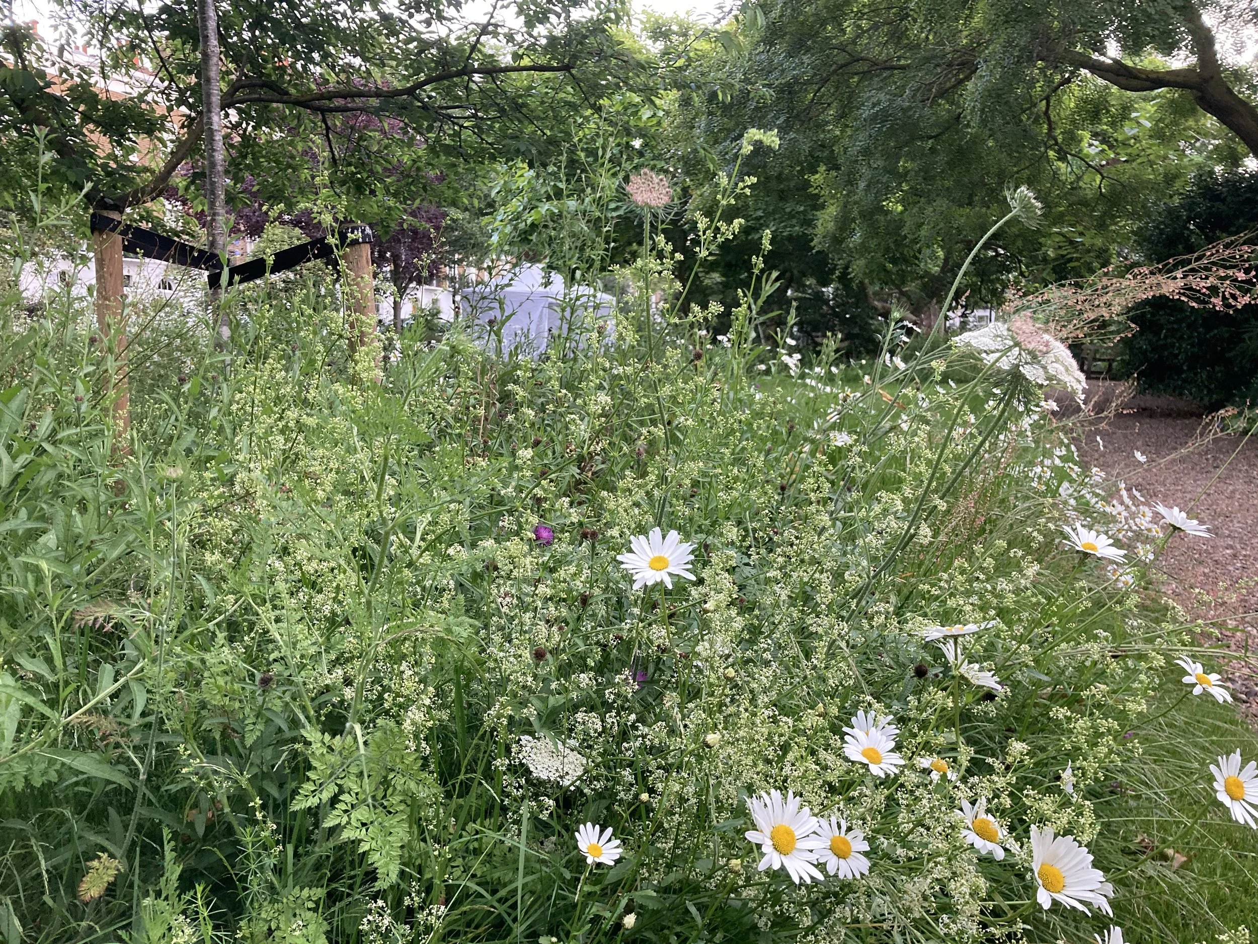 IMG_7038.jpeg