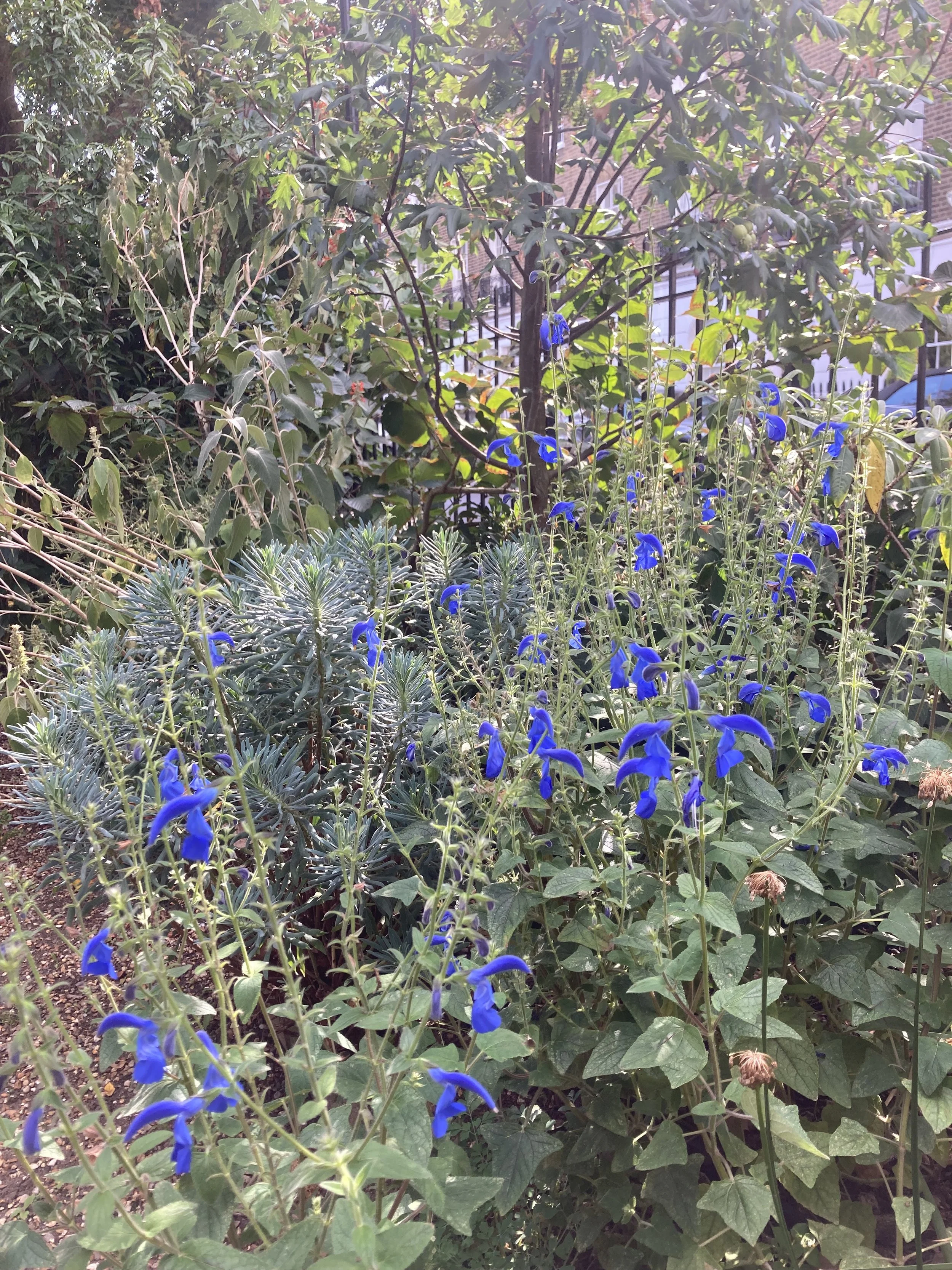 IMG_2672.jpeg