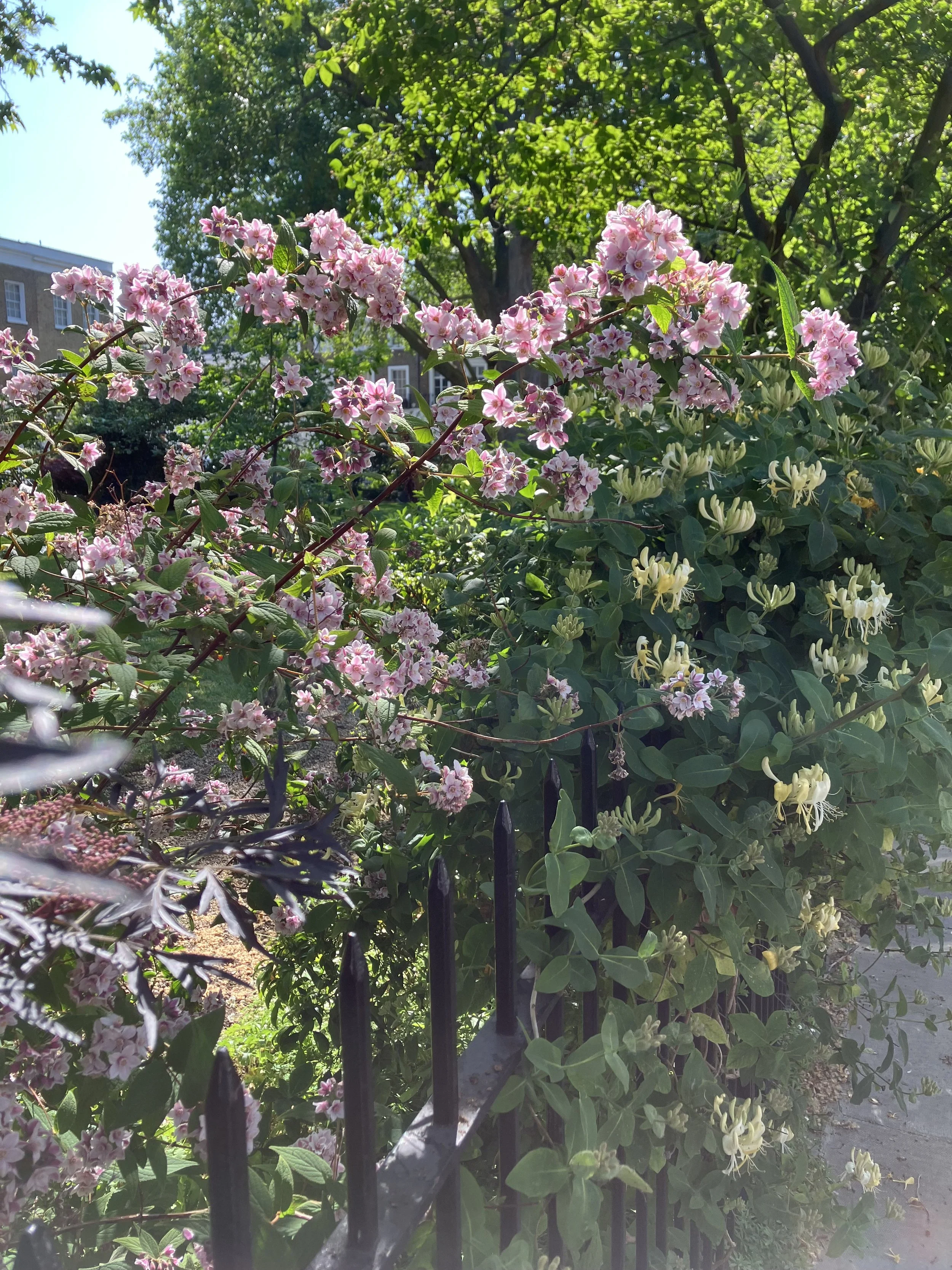 IMG_0347.jpeg