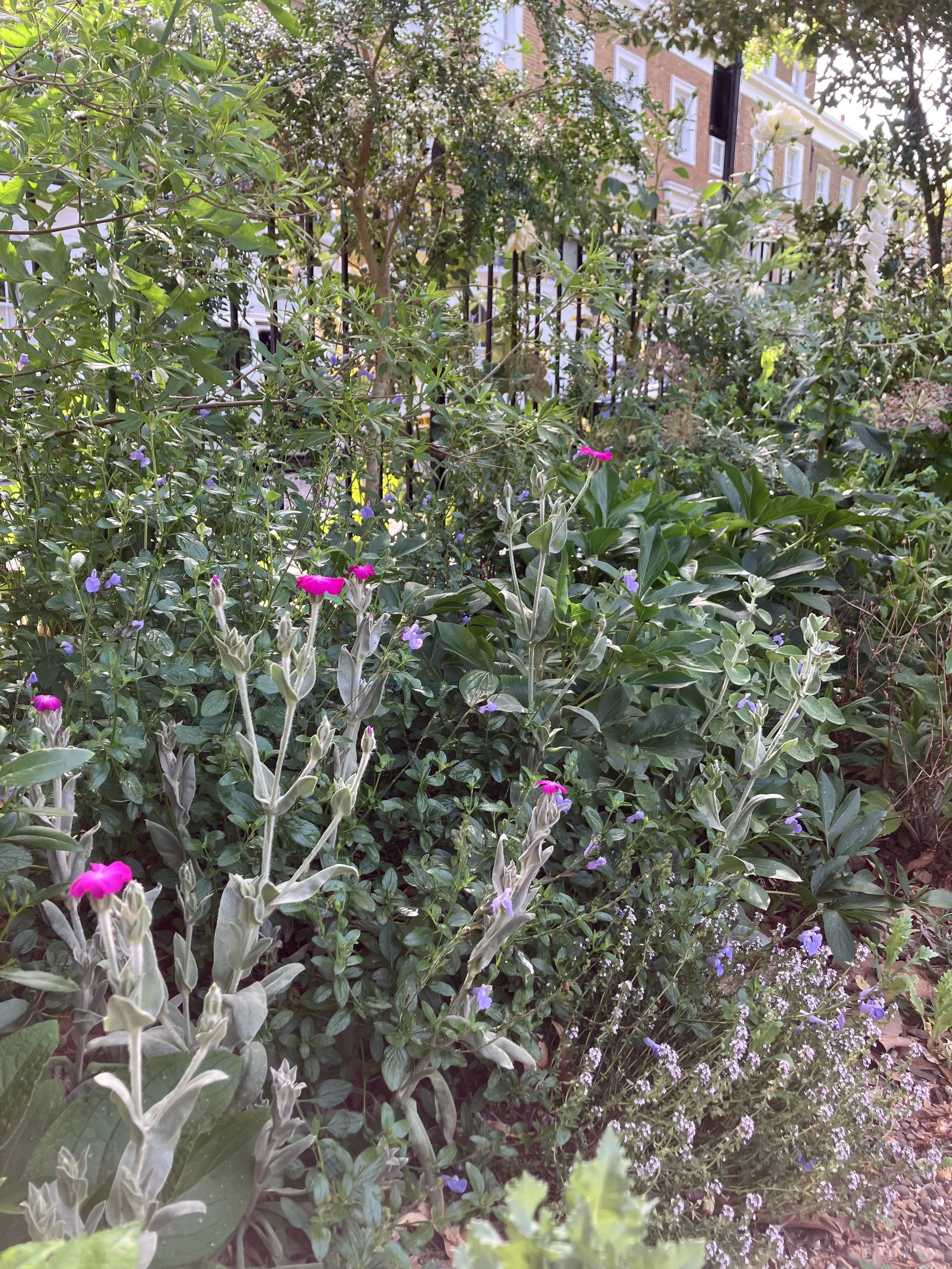 IMG_0550.jpeg
