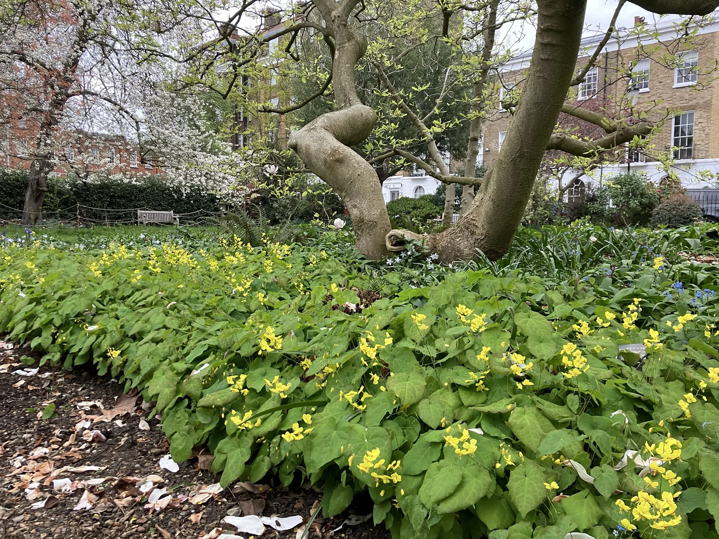 IMG_0155.jpeg