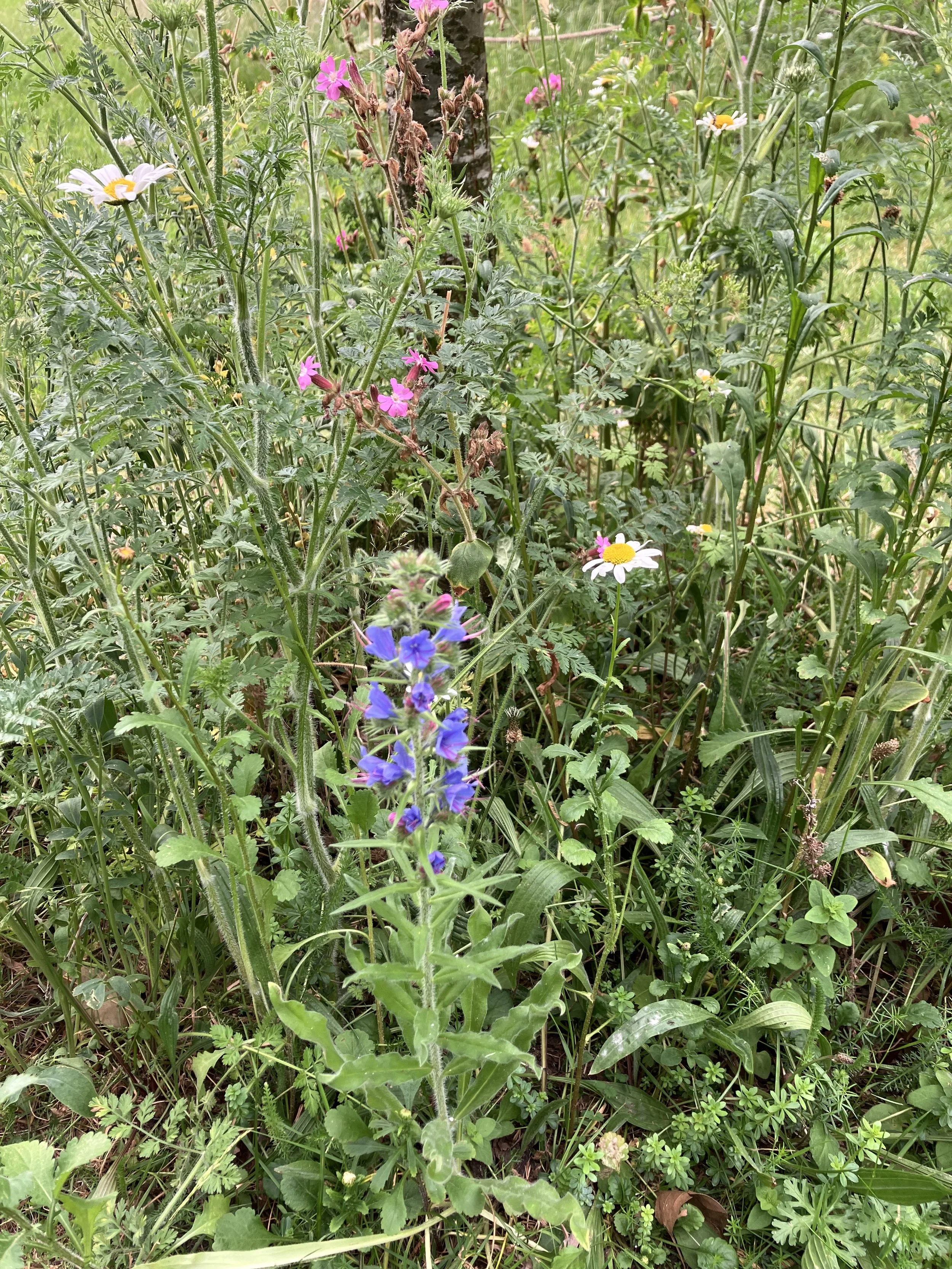 IMG_0860.jpeg