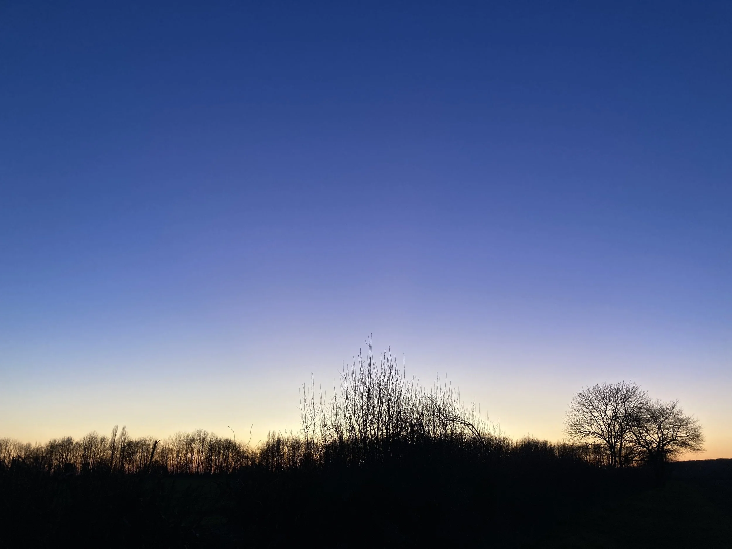 IMG_9511.jpeg