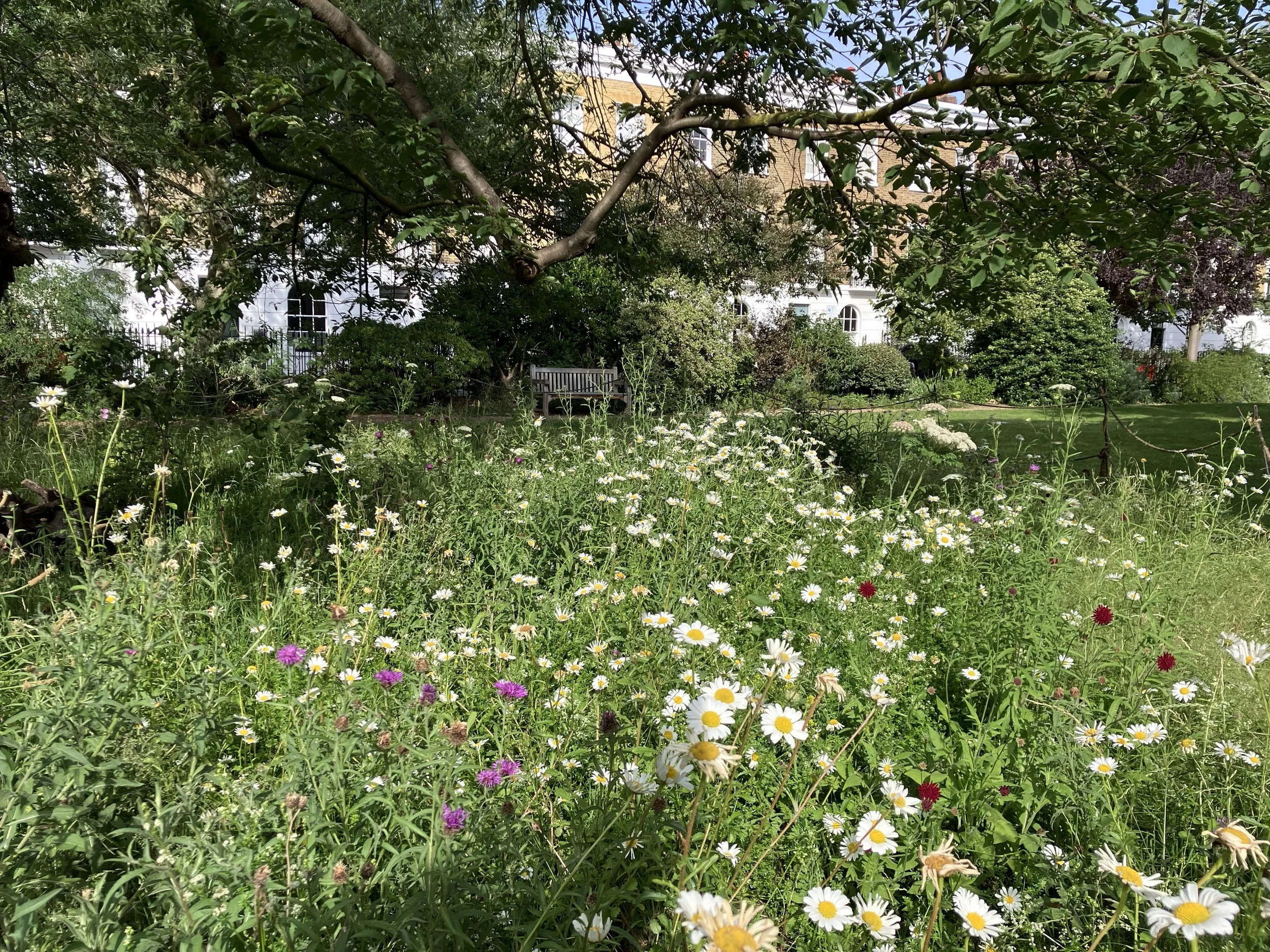IMG_0879.jpeg
