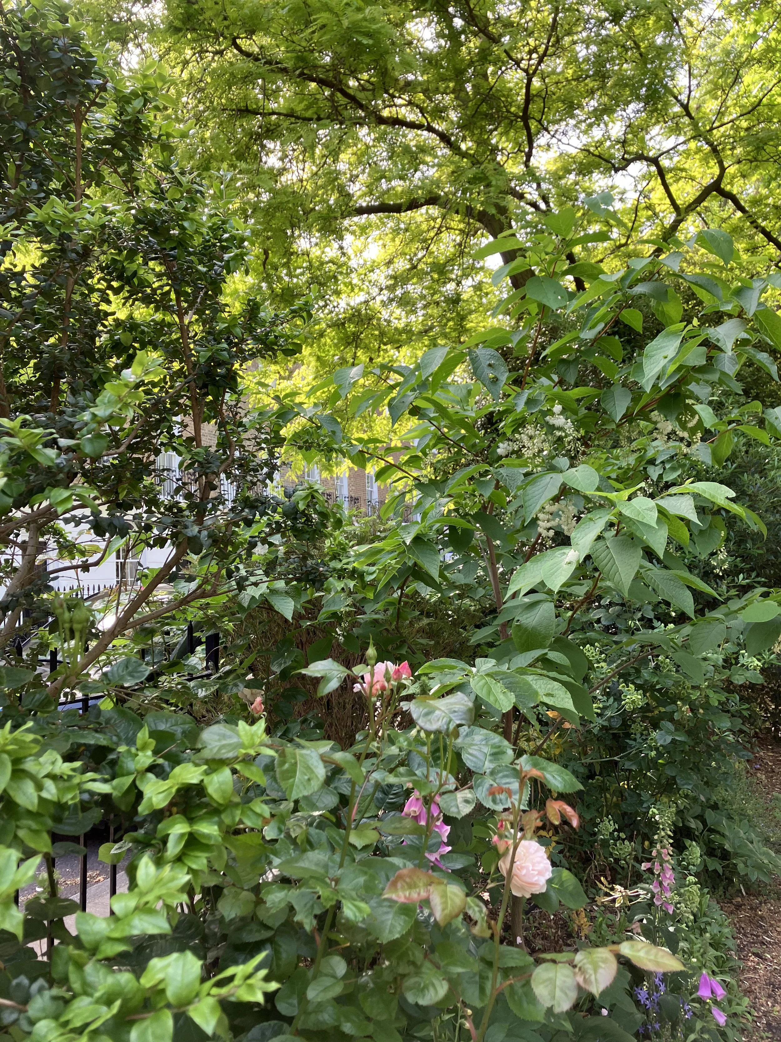 IMG_0522.jpeg